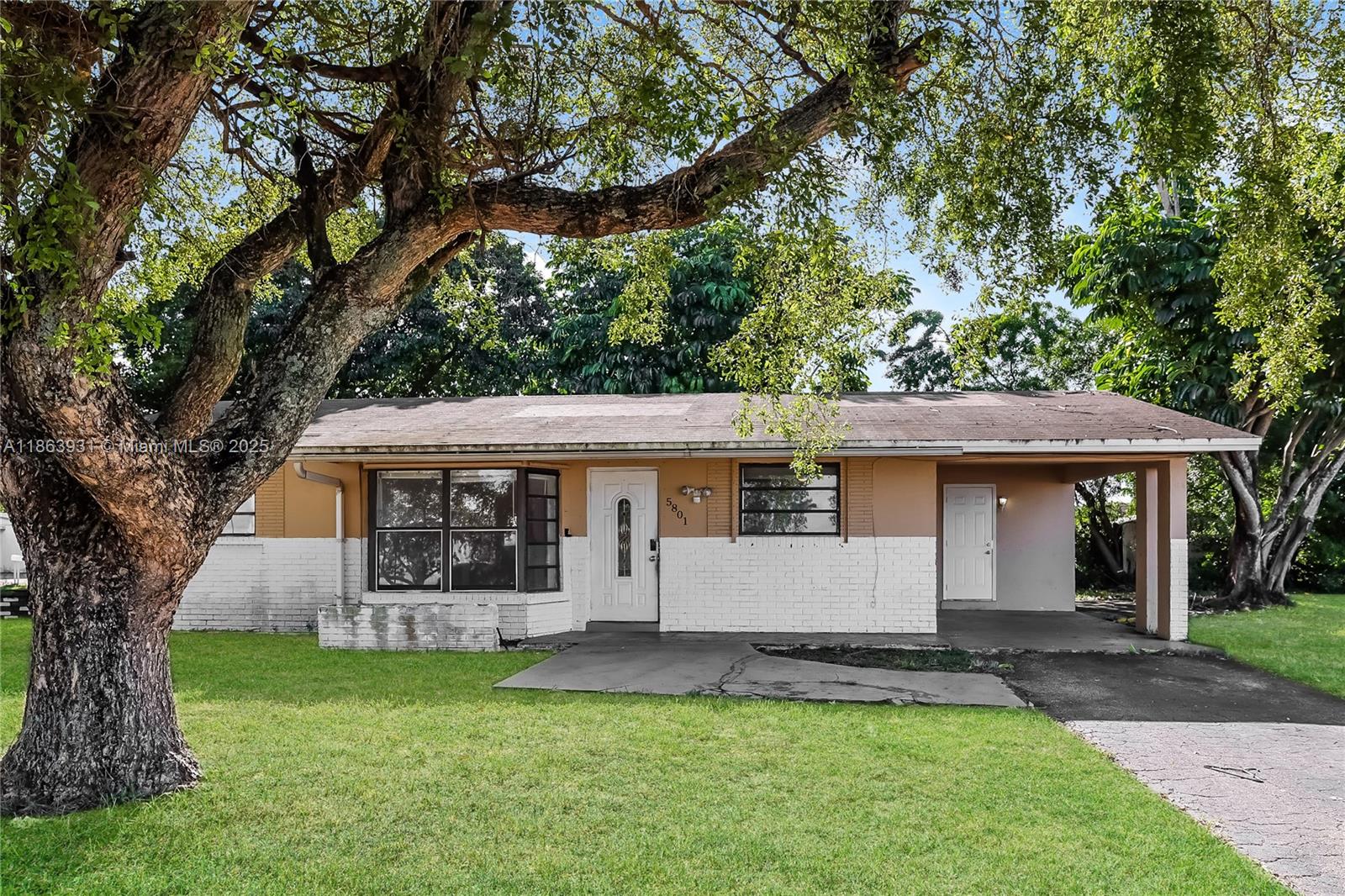 Ibec Neighborhood No 1