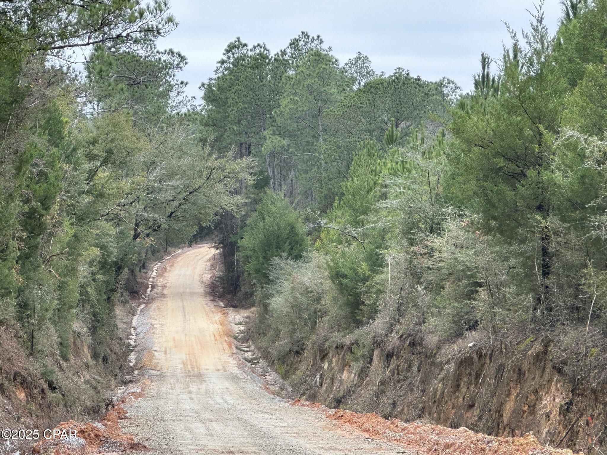 Homes for sale in Caryville, FL | Tract#6418 Bryant Bay Rd, Caryville, FL 32427 | MLS# 778033