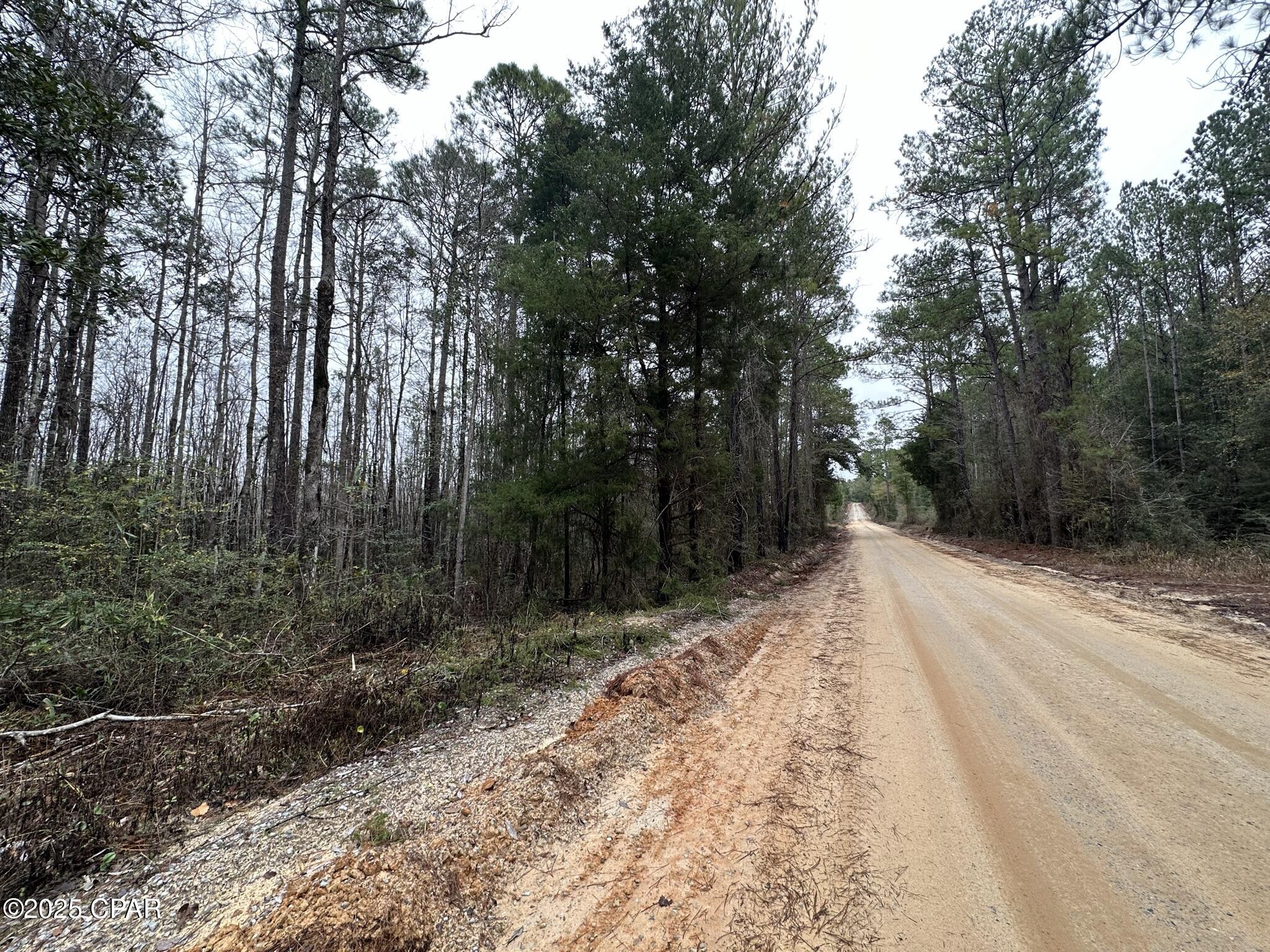 Image 6 For Tract#6418 Bryant Bay Road