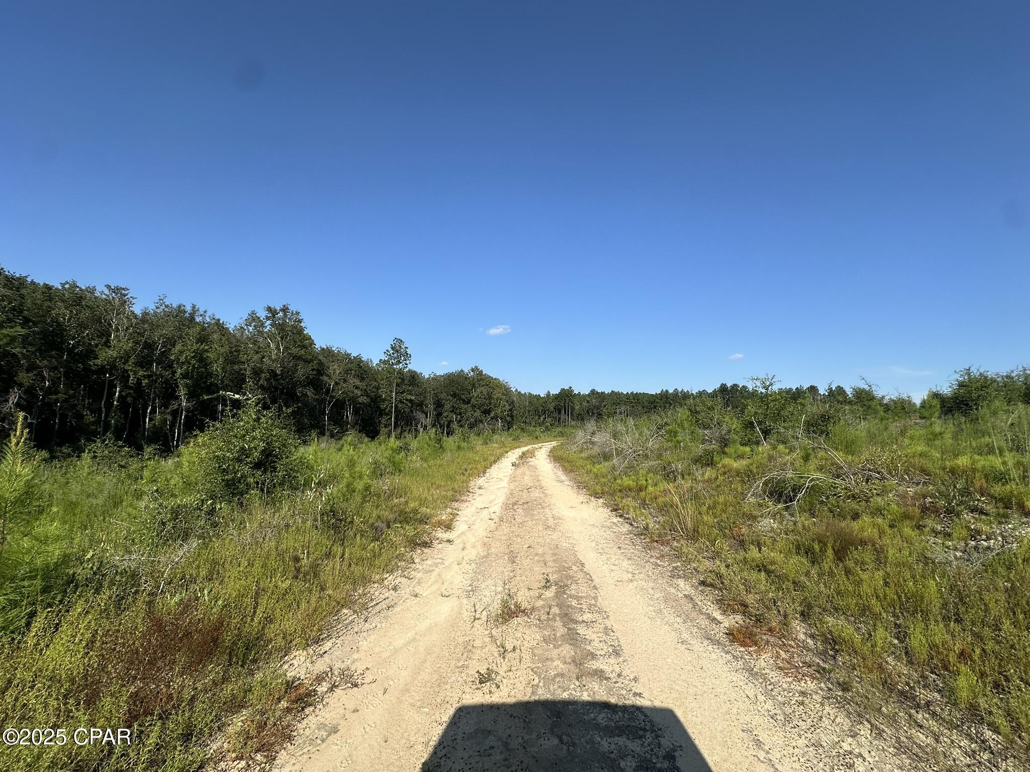 Image 3 For Tract#6409 River Road