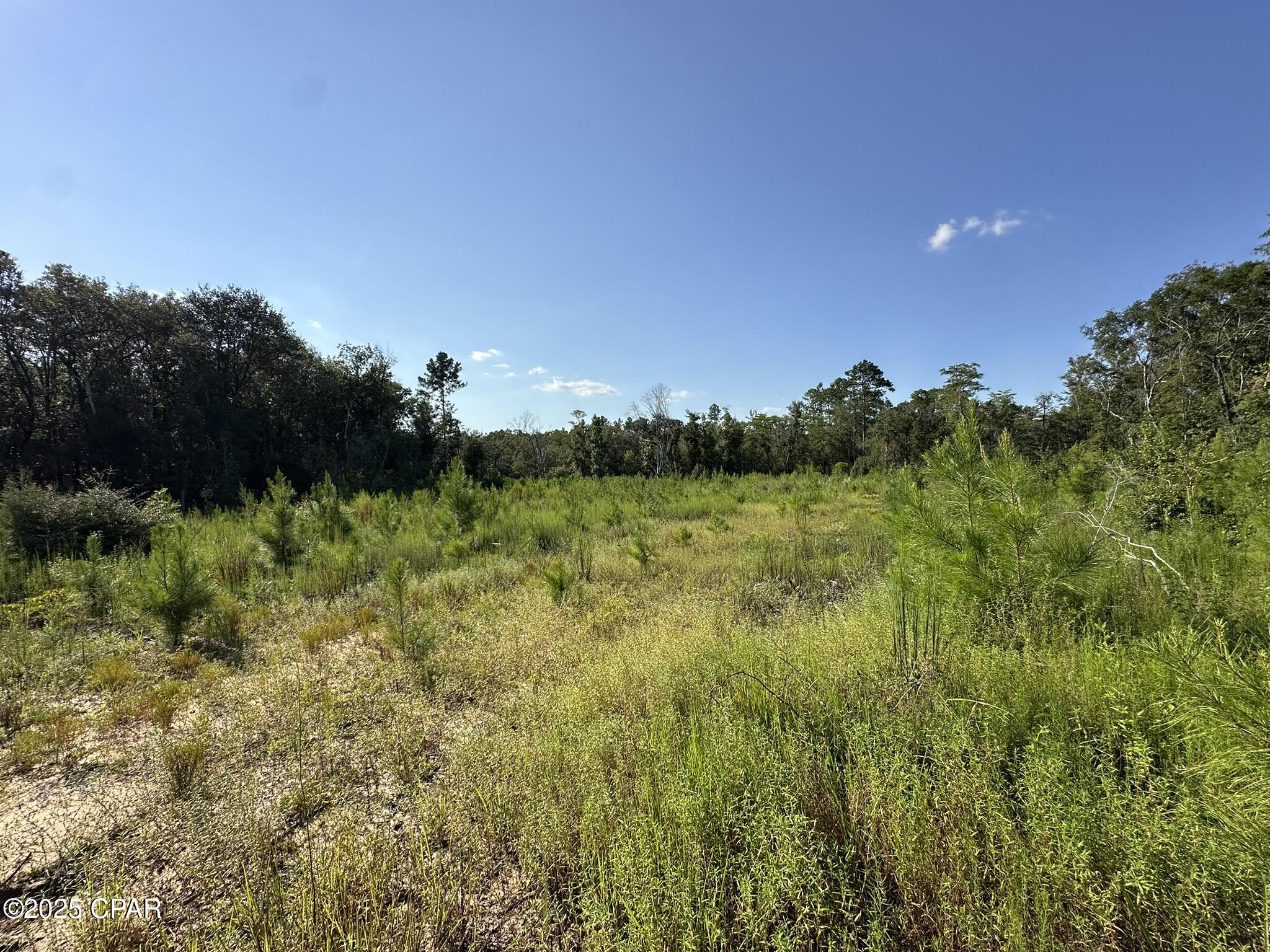 Image 5 For Tract#6409 River Road