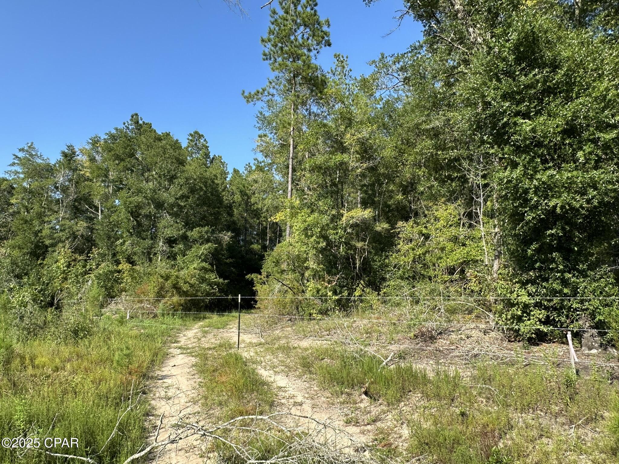 Image 7 For Tract#6409 River Road