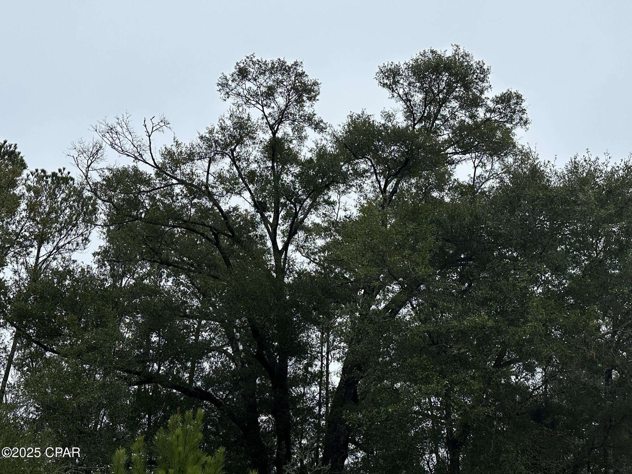 Image 4 For Tract# Mattox Springs Road North 2