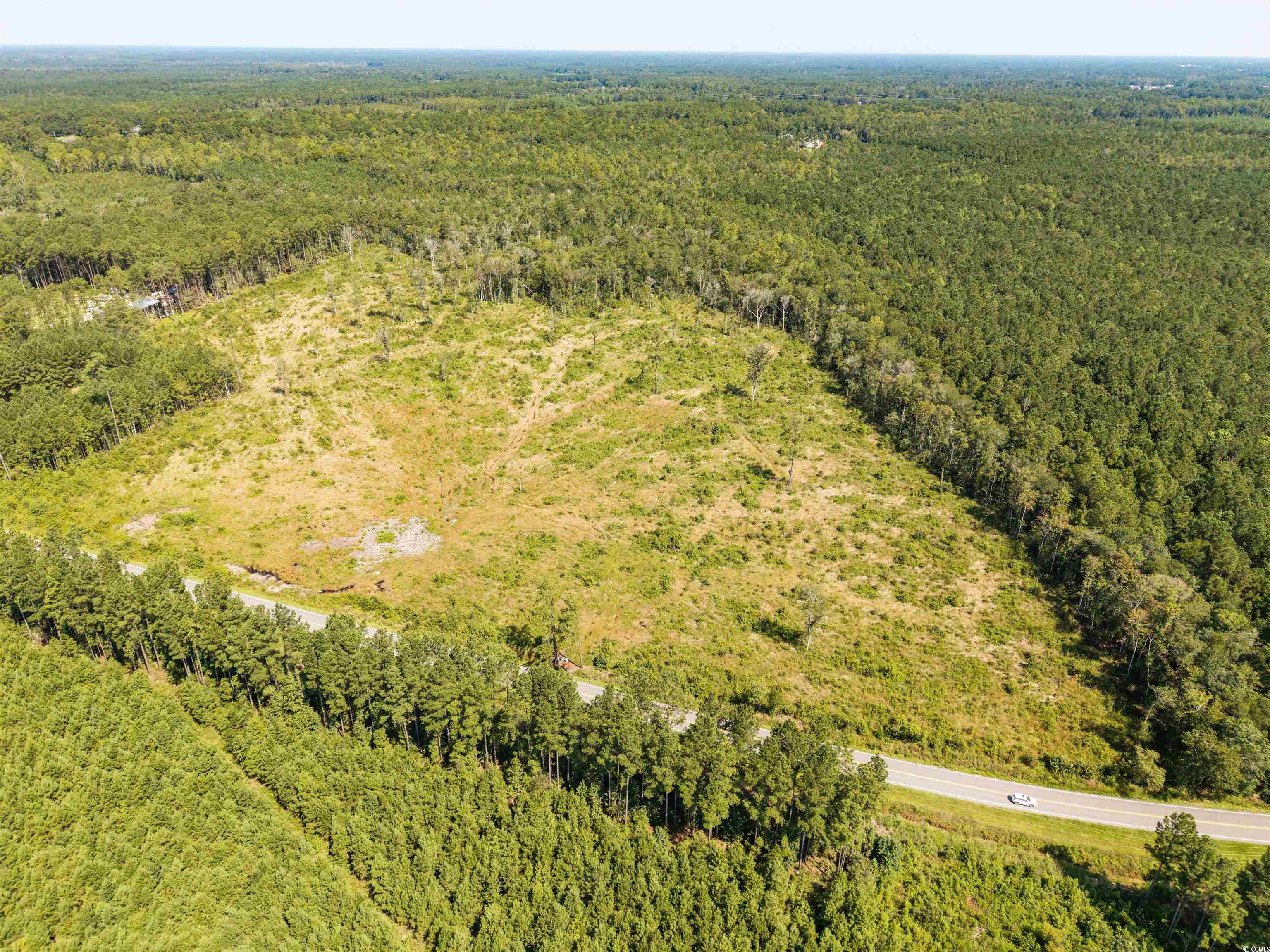 tbd Pitch Landing Rd. Conway, SC 29527