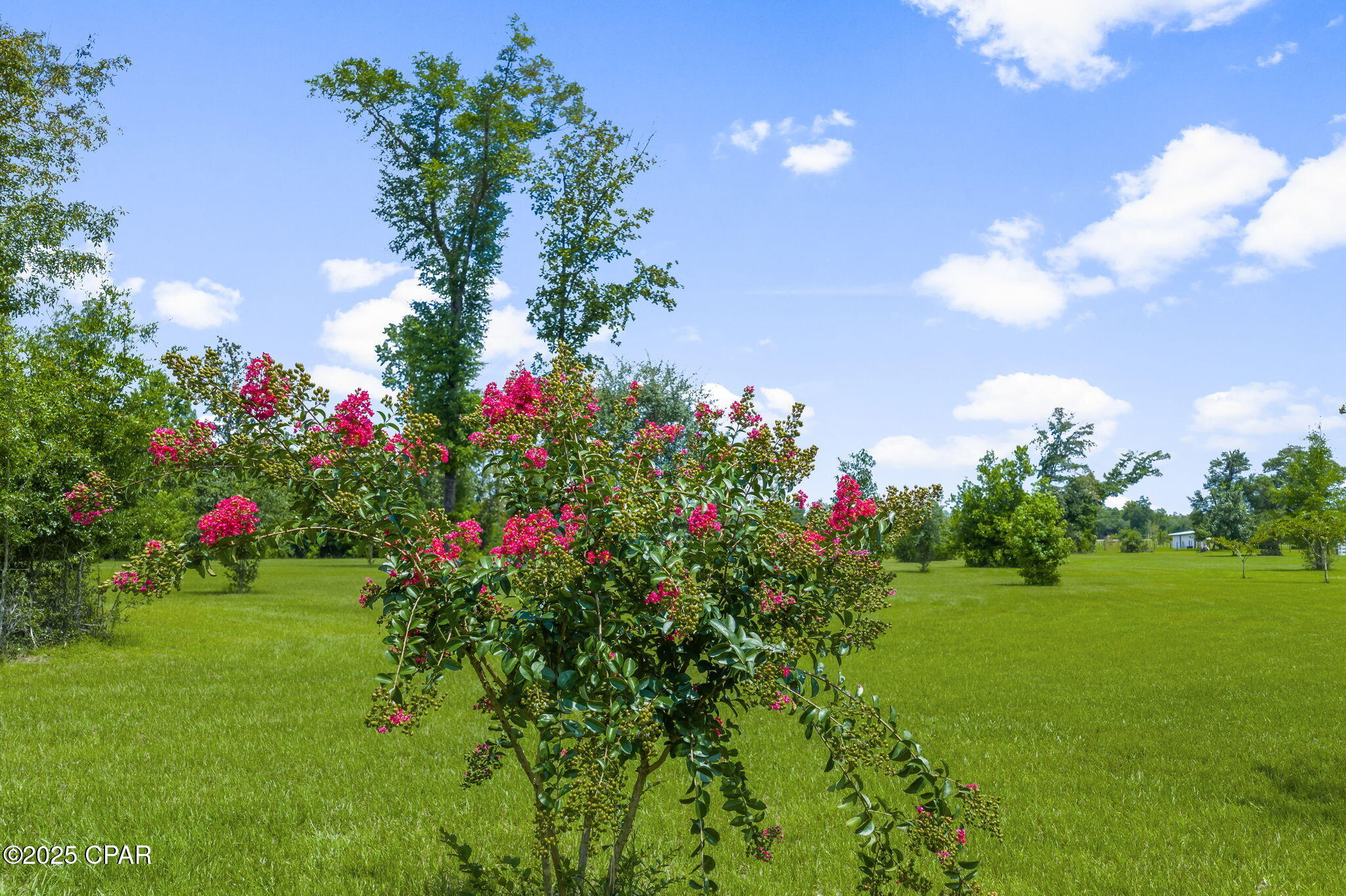 Image 111 For 13935 Blue Springs Road