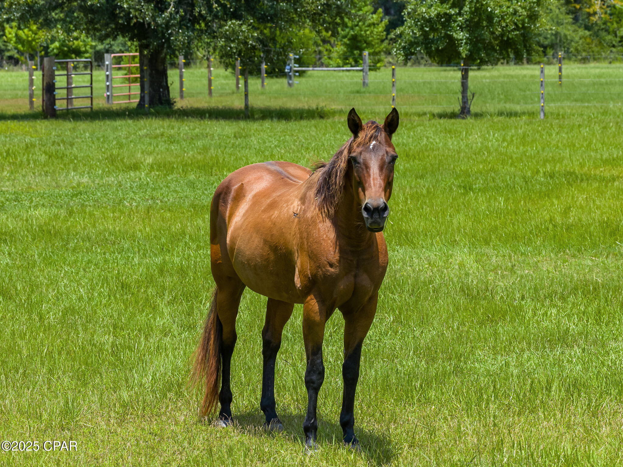 Image 117 For 13935 Blue Springs Road