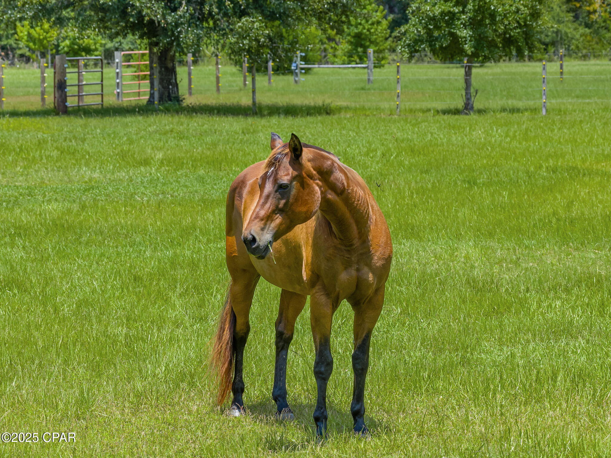 Image 118 For 13935 Blue Springs Road
