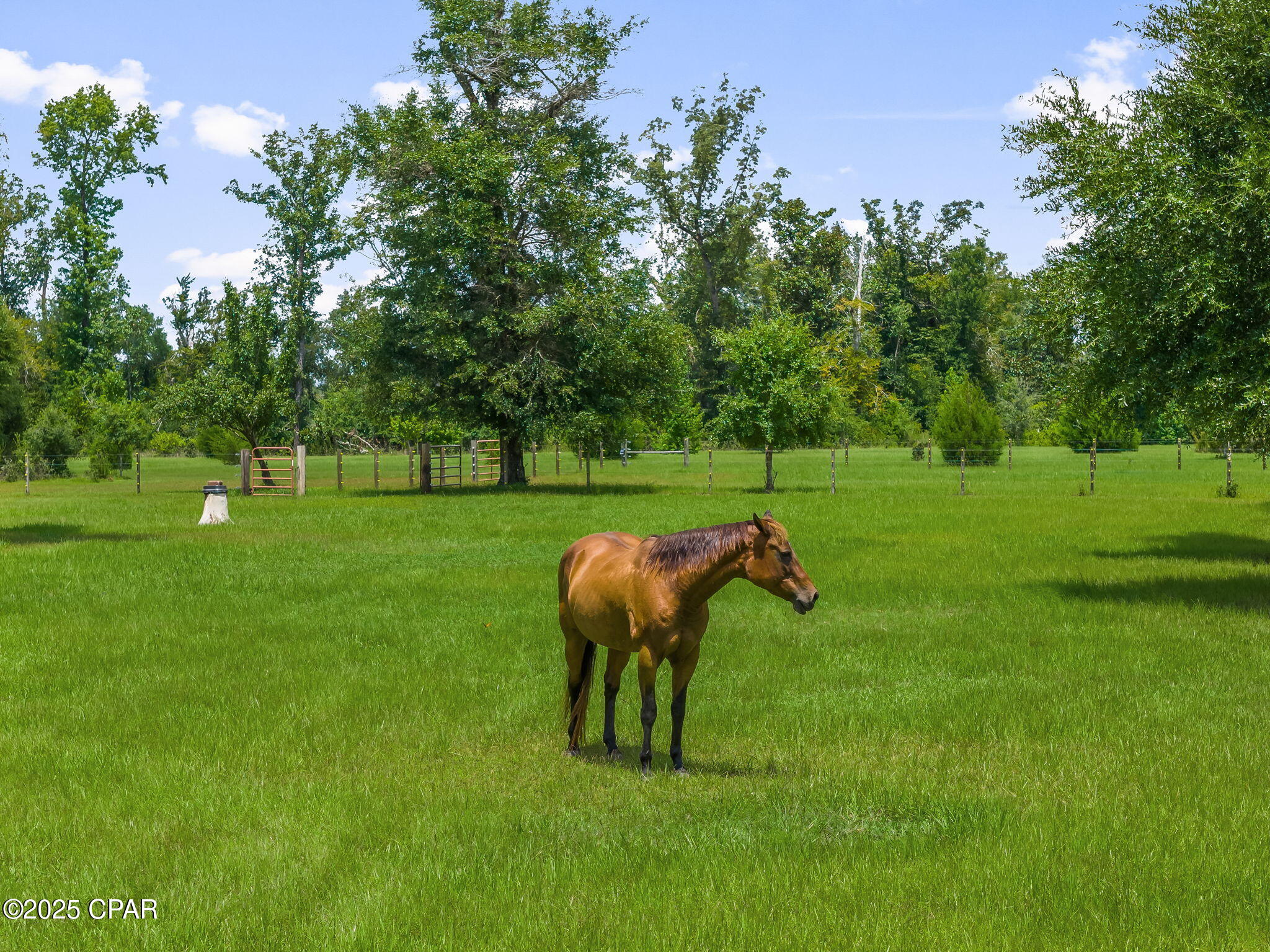 Image 119 For 13935 Blue Springs Road