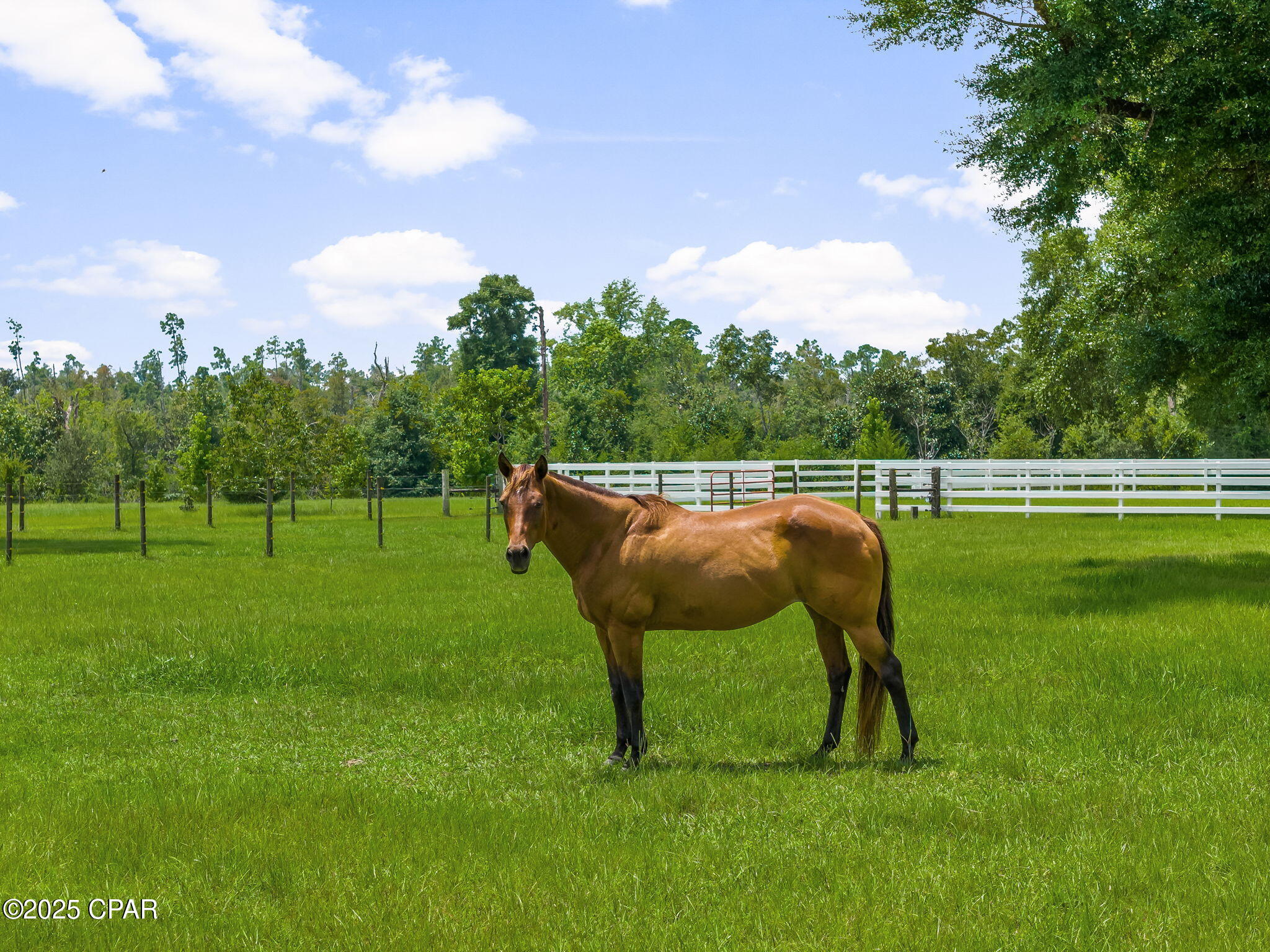 Image 120 For 13935 Blue Springs Road