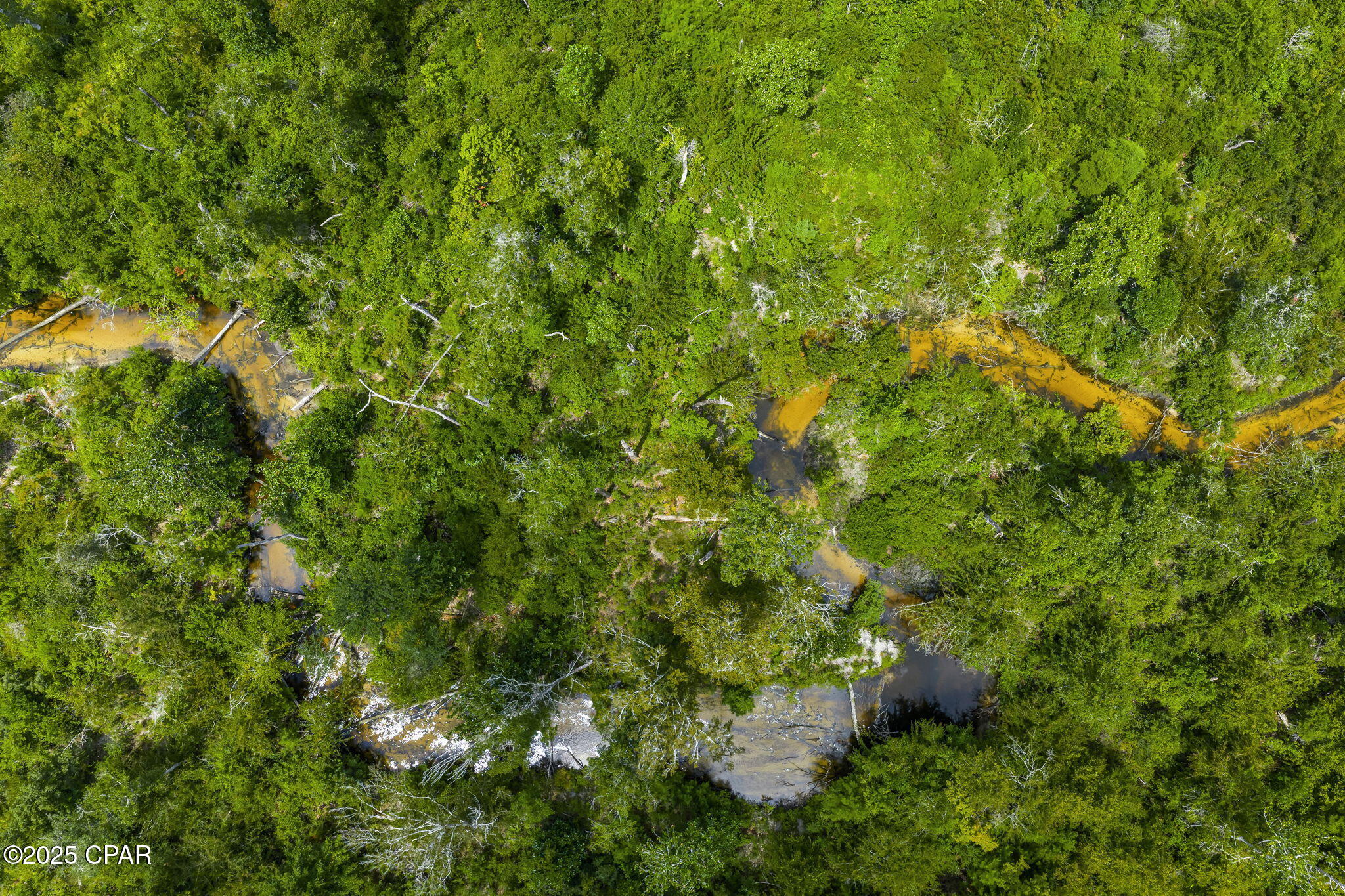 Image 125 For 13935 Blue Springs Road