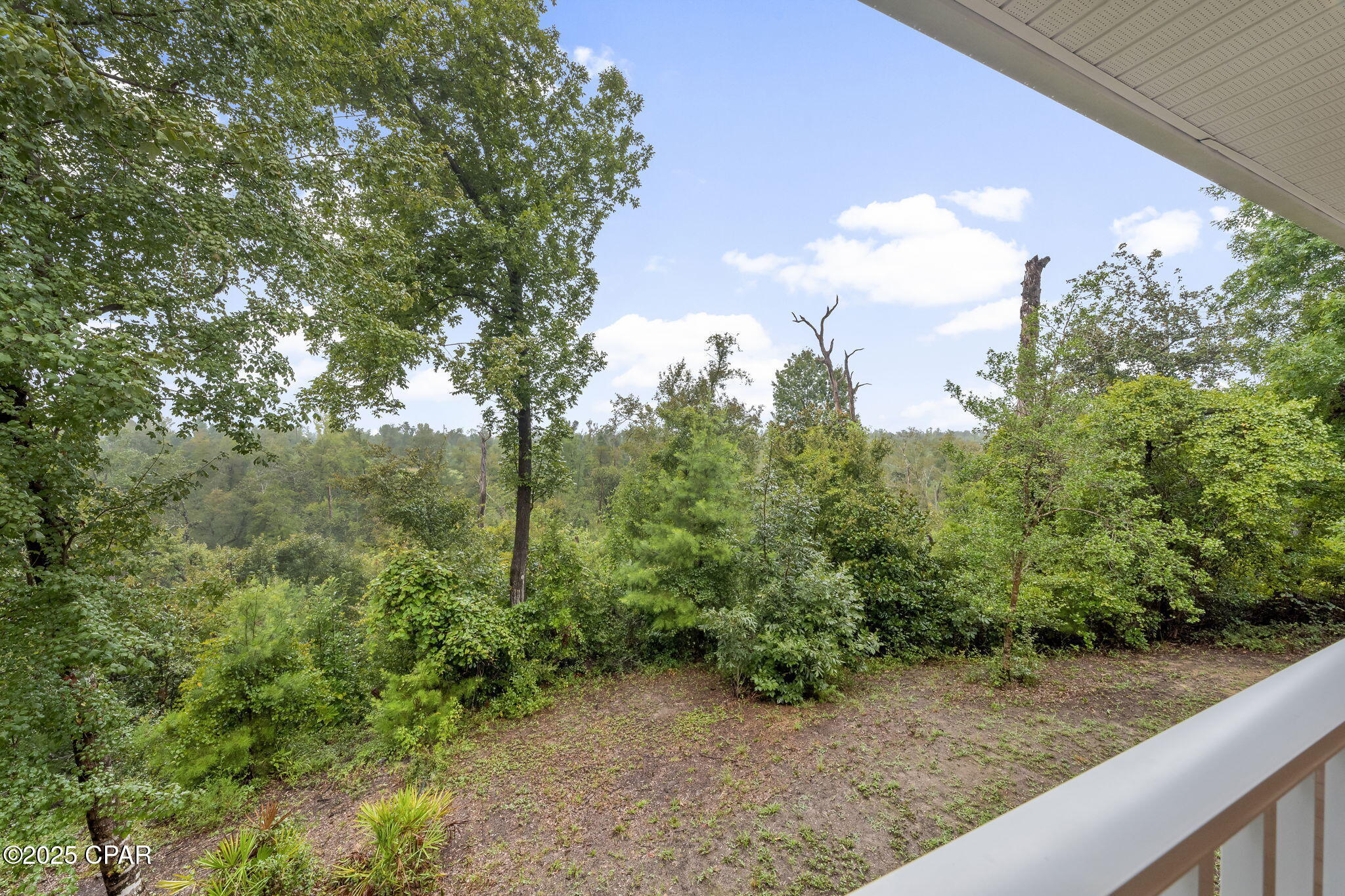 Image 24 For 13935 Blue Springs Road