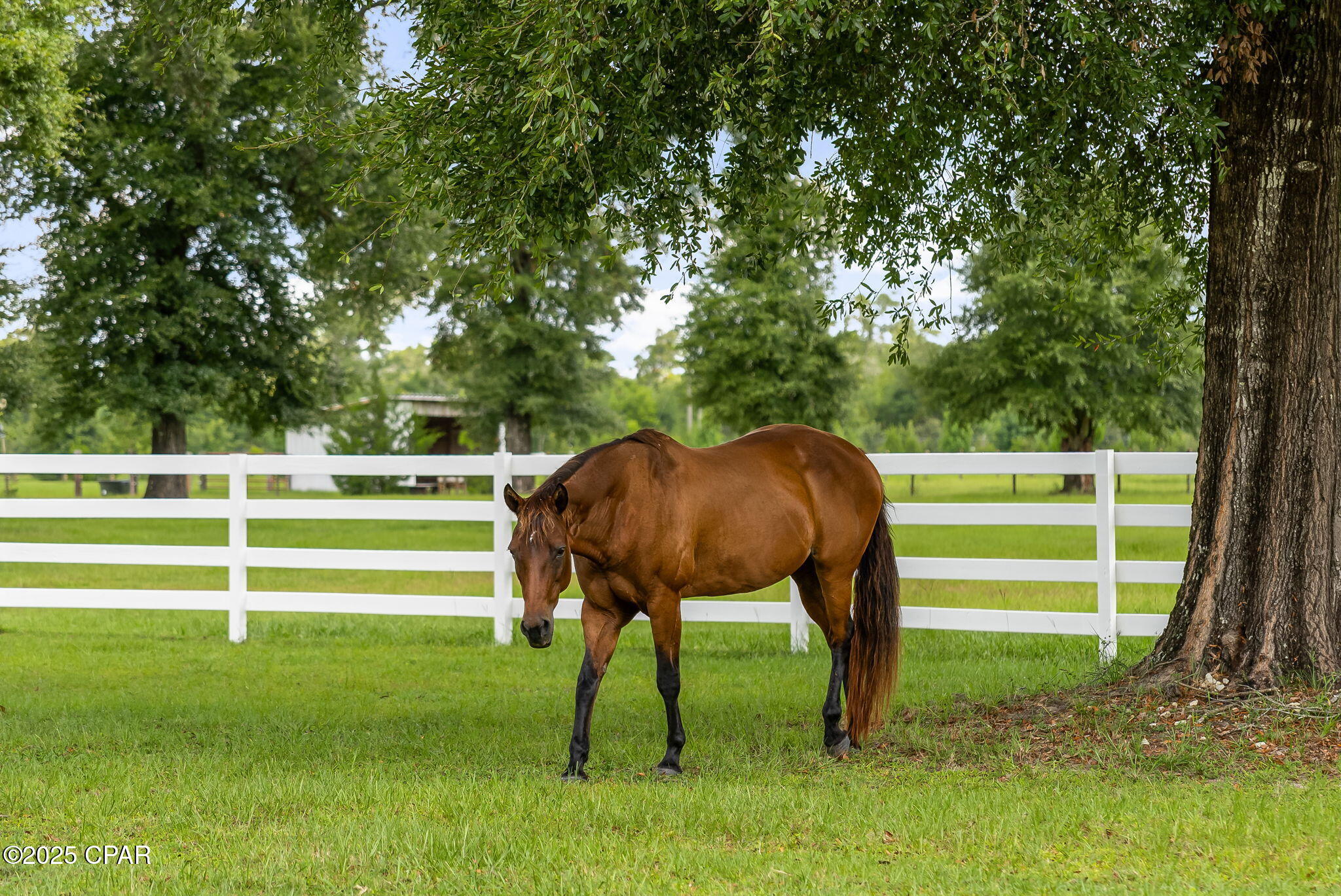 Image 3 For 13935 Blue Springs Road