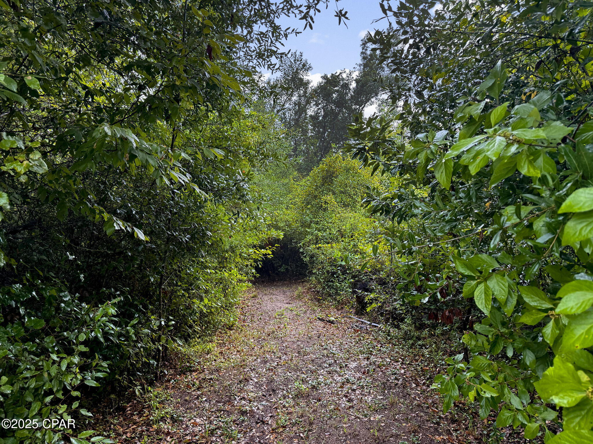 Image 56 For 13935 Blue Springs Road