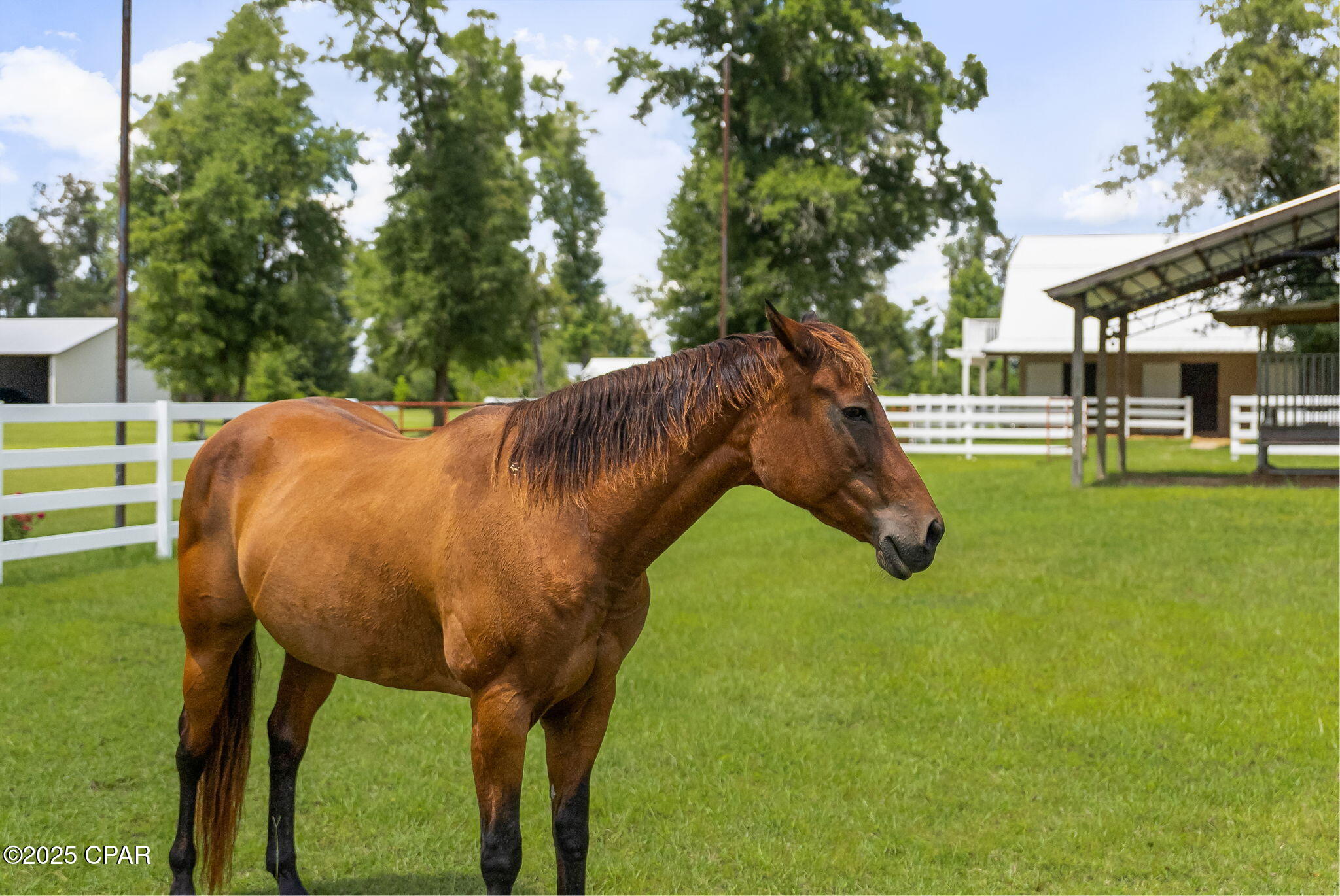 Image 61 For 13935 Blue Springs Road