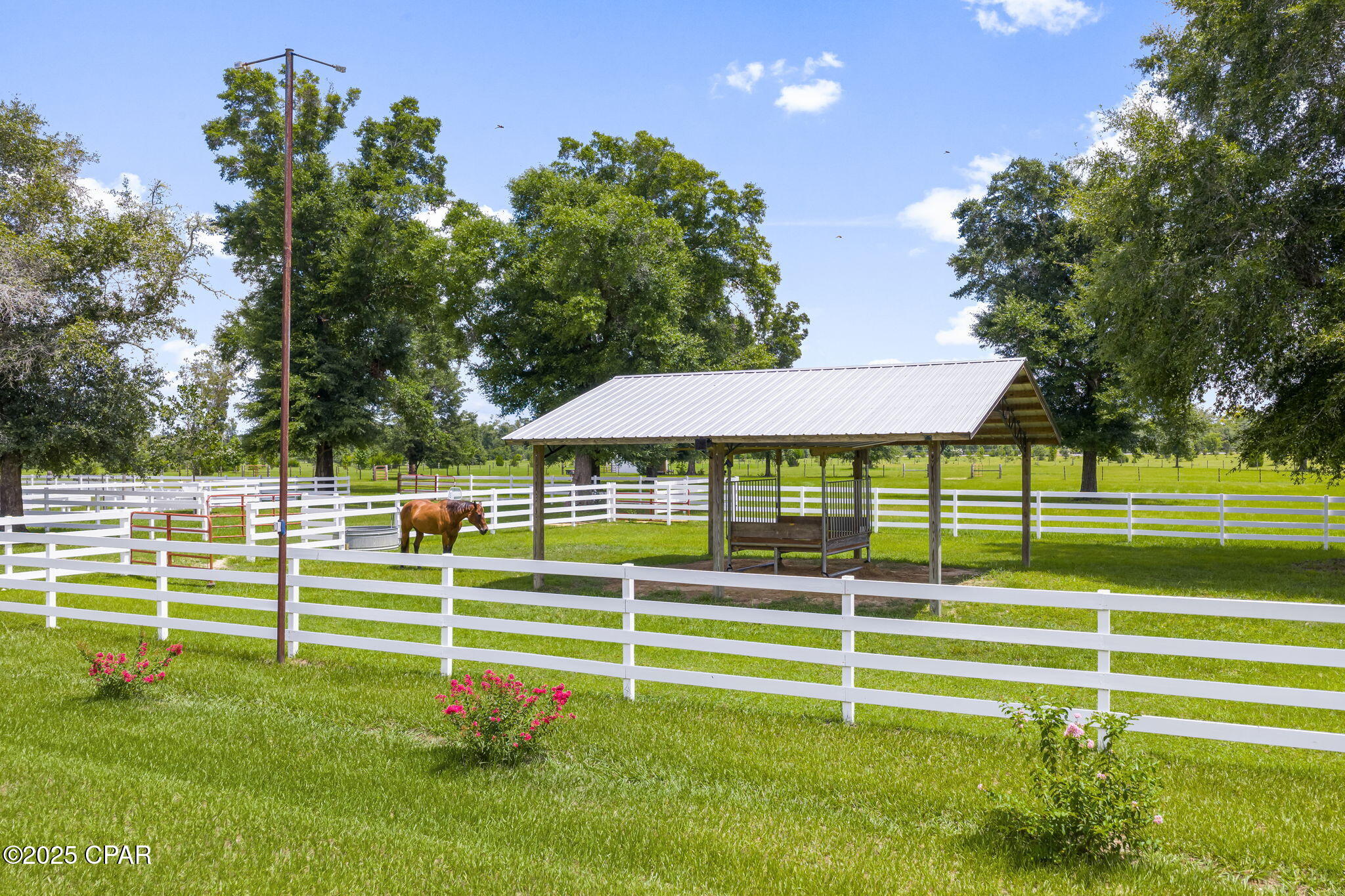 Image 89 For 13935 Blue Springs Road