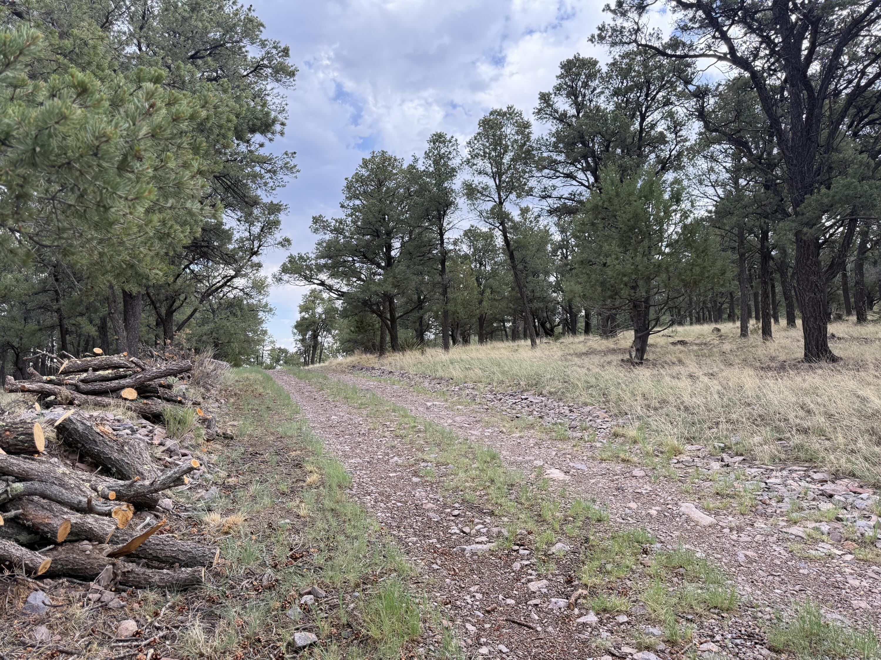 Homes for sale in Magdalena, NM | 9 Cochise Dr, Magdalena, NM 87825 | MLS# 1090239