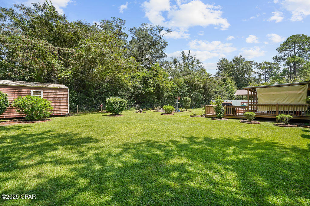 Image 49 For 312 Marion Street