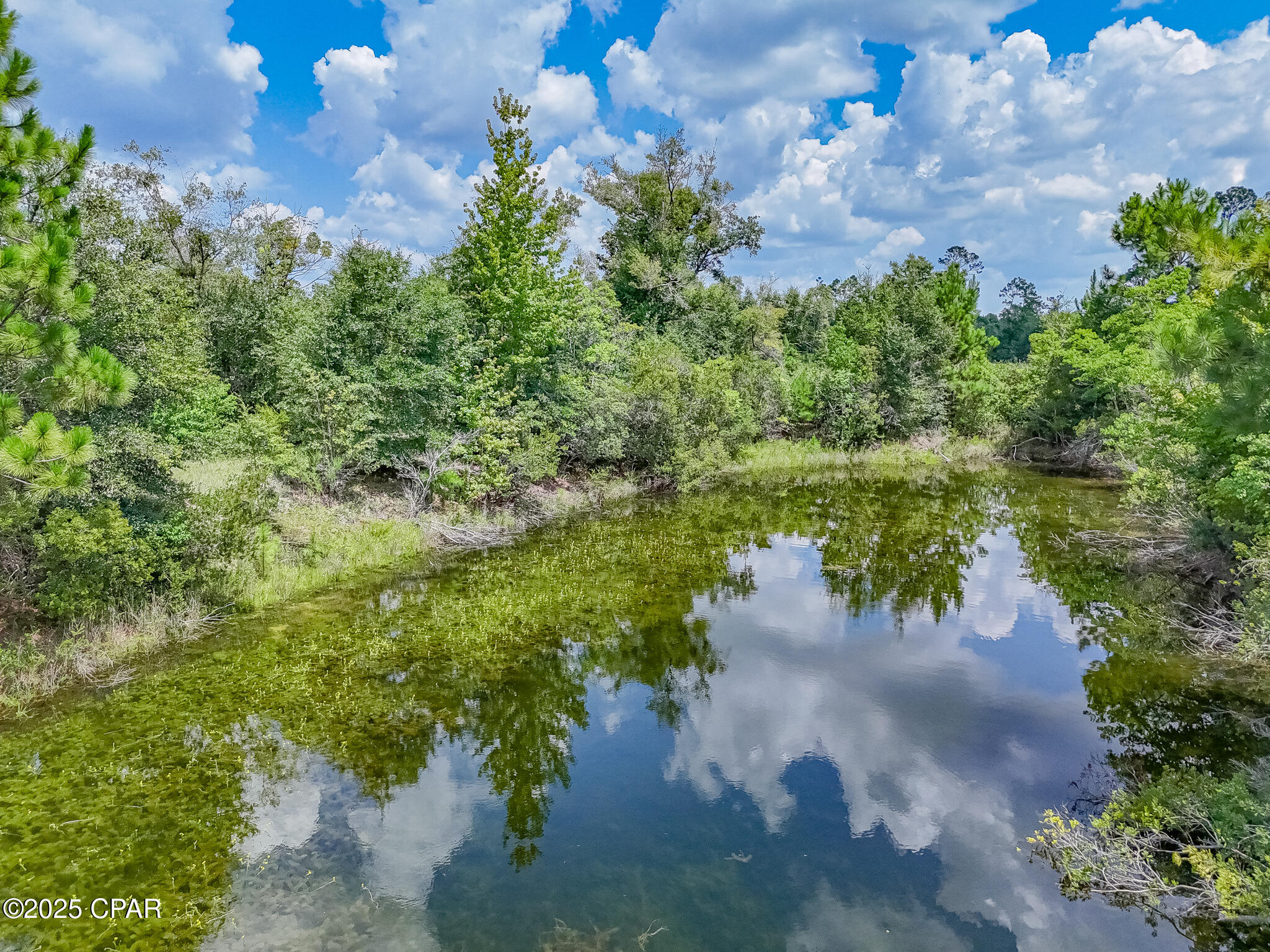 Image 71 For 19618 Highway 231