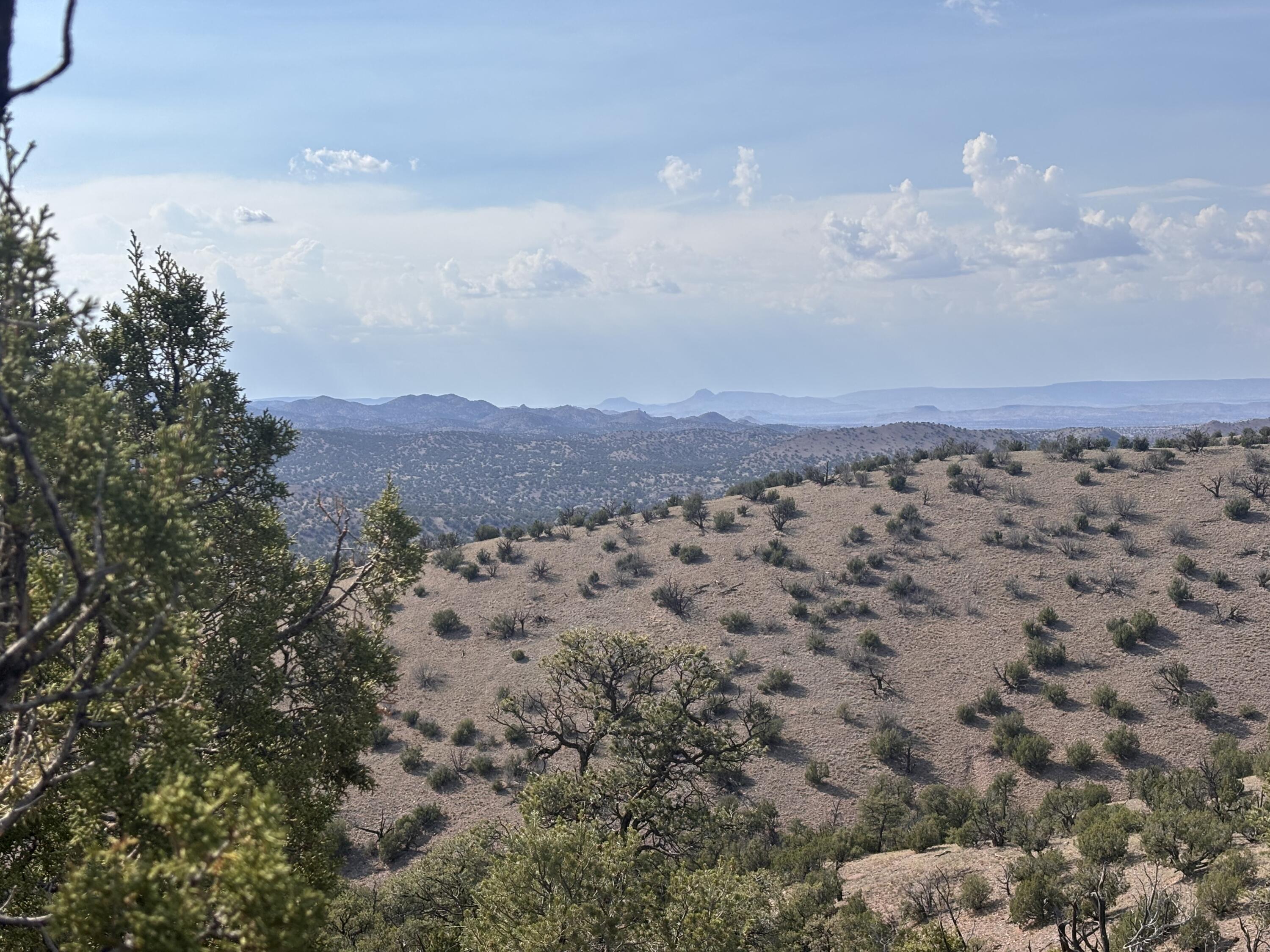 Homes for sale in Magdalena, NM | Lot 153 Pinon Springs Ranch, Magdalena, NM 87825 | MLS# 1090271