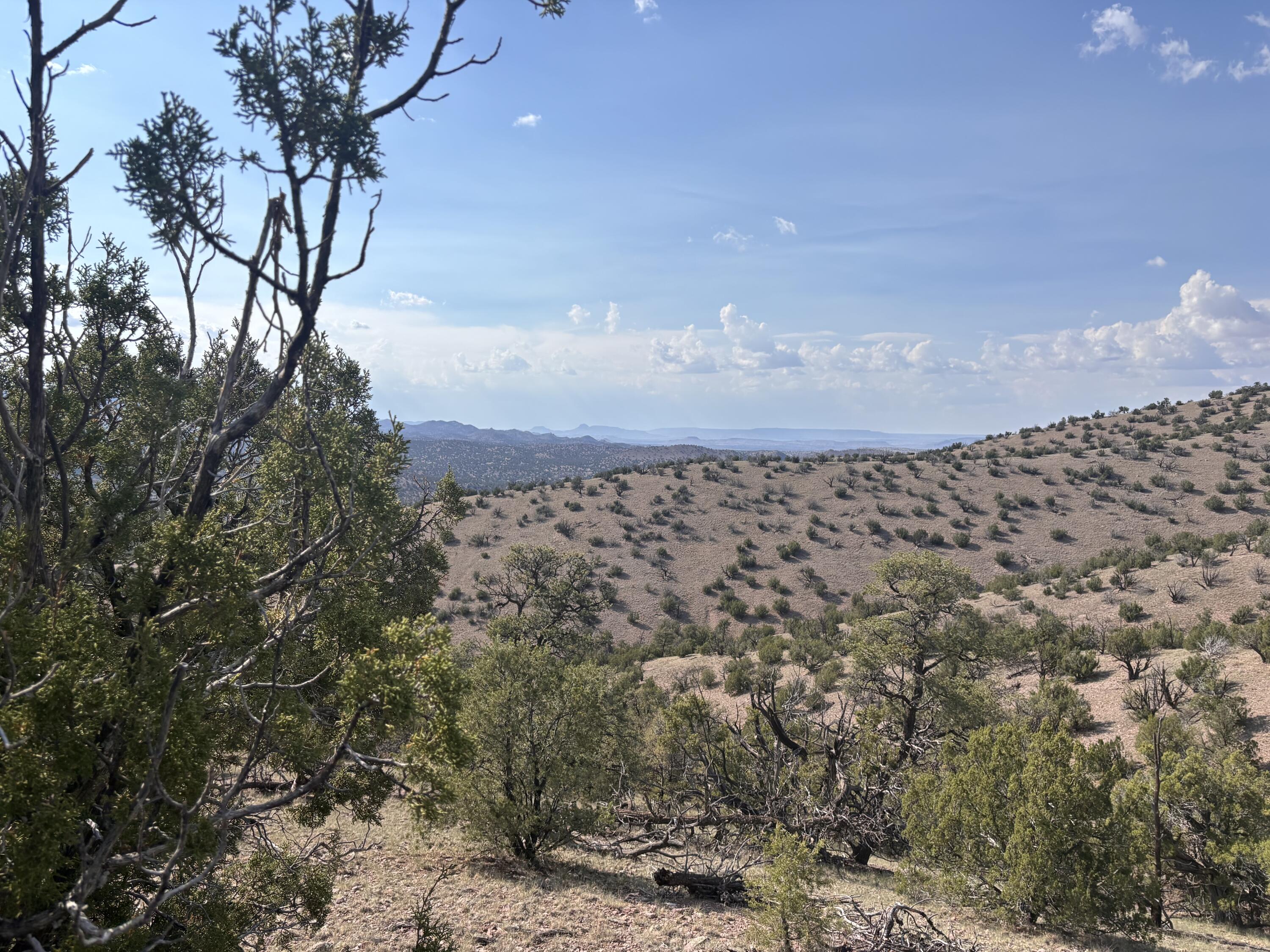 Homes for sale in Magdalena, NM | Lot 153 Pinon Springs Ranch, Magdalena, NM 87825 | MLS# 1090271