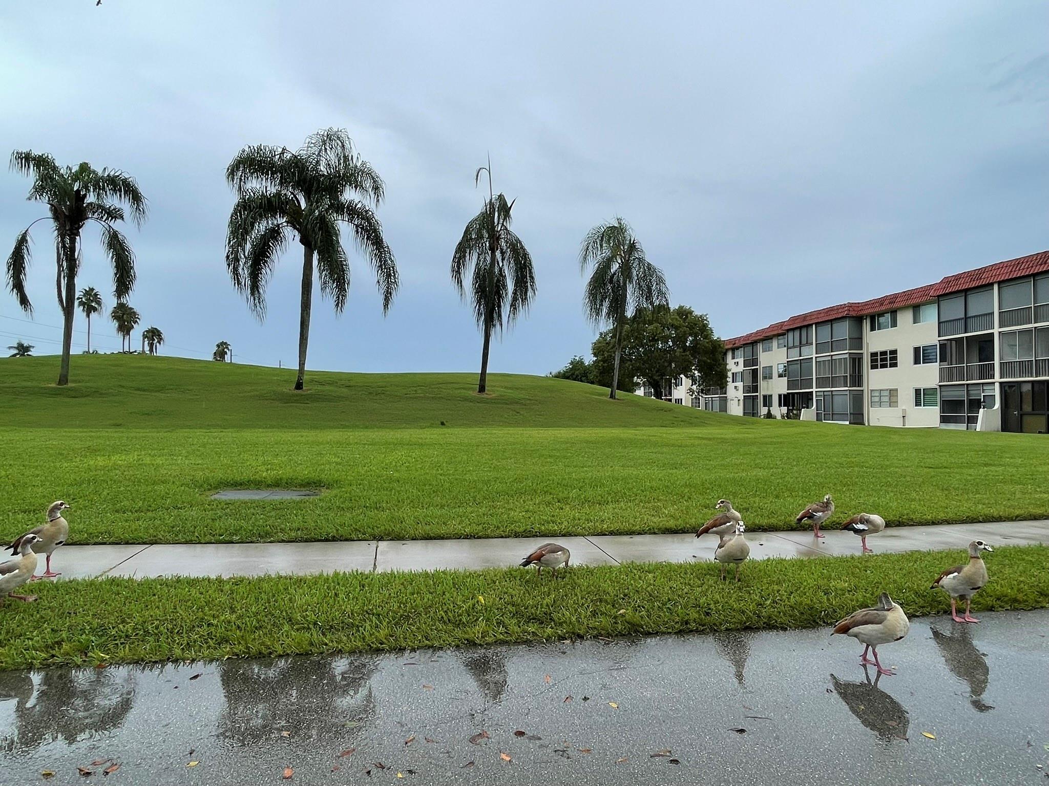 Homes for sale in Pembroke Pines, FL | 361 S Hollybrook Dr #103, Pembroke Pines, FL 33025 | MLS# F10523155