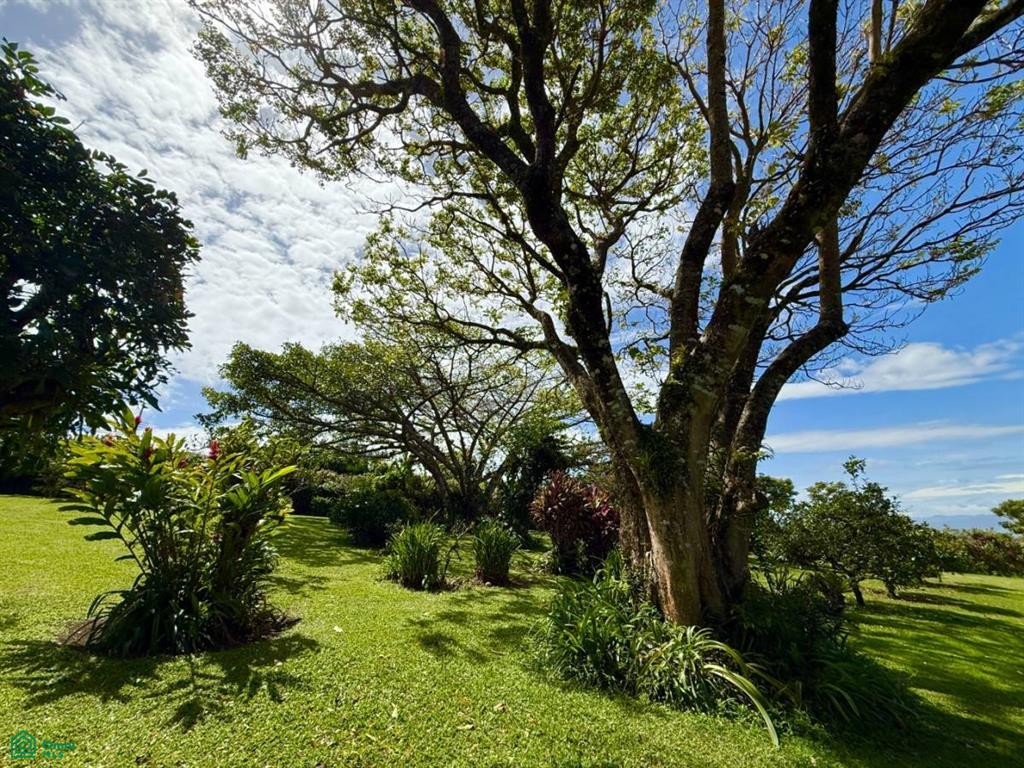 0 bed Single Family Homes For Sale in San Isidro, Heredia - 1