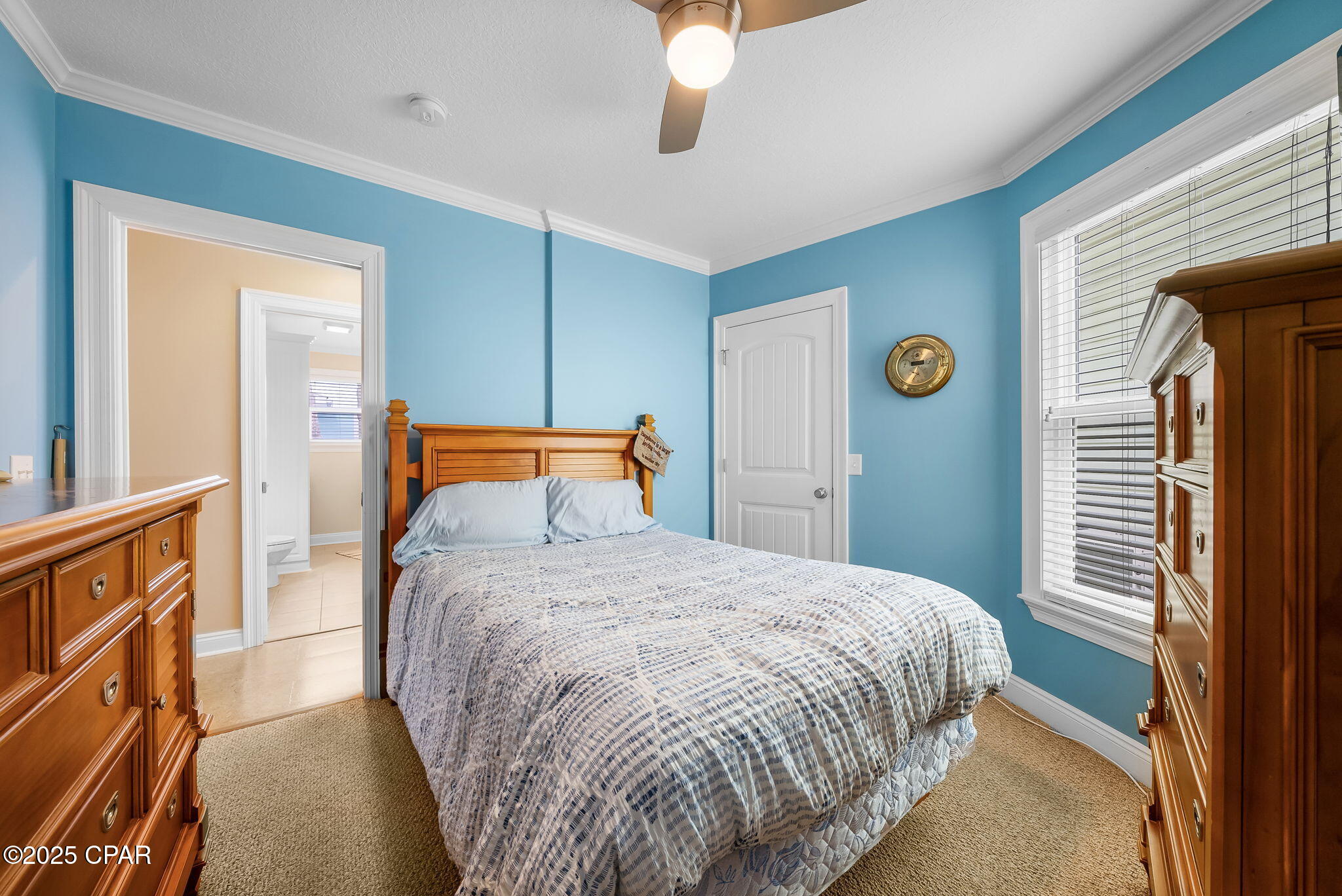 Image 23 For 228 Squid Lane