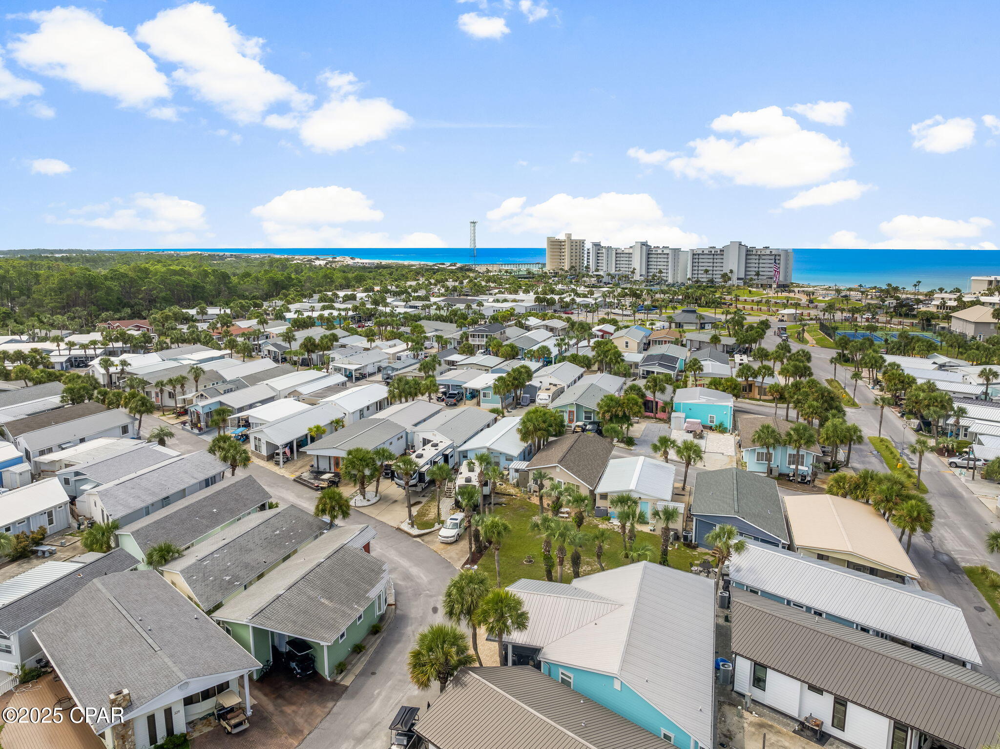 Image 30 For 228 Squid Lane