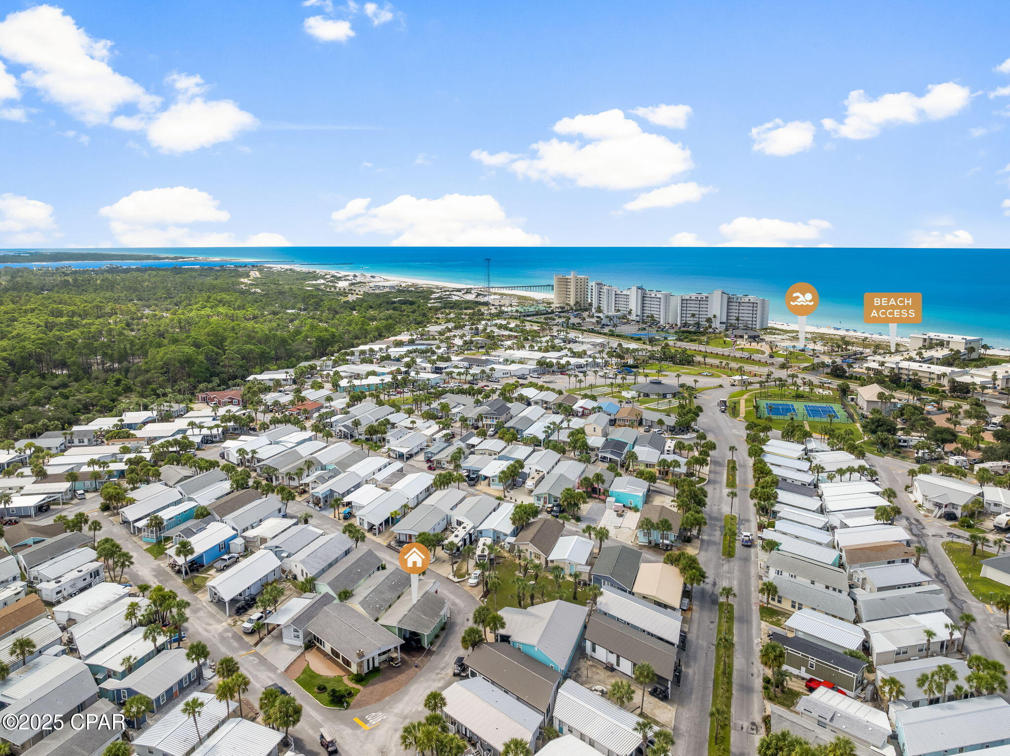 Image 31 For 228 Squid Lane