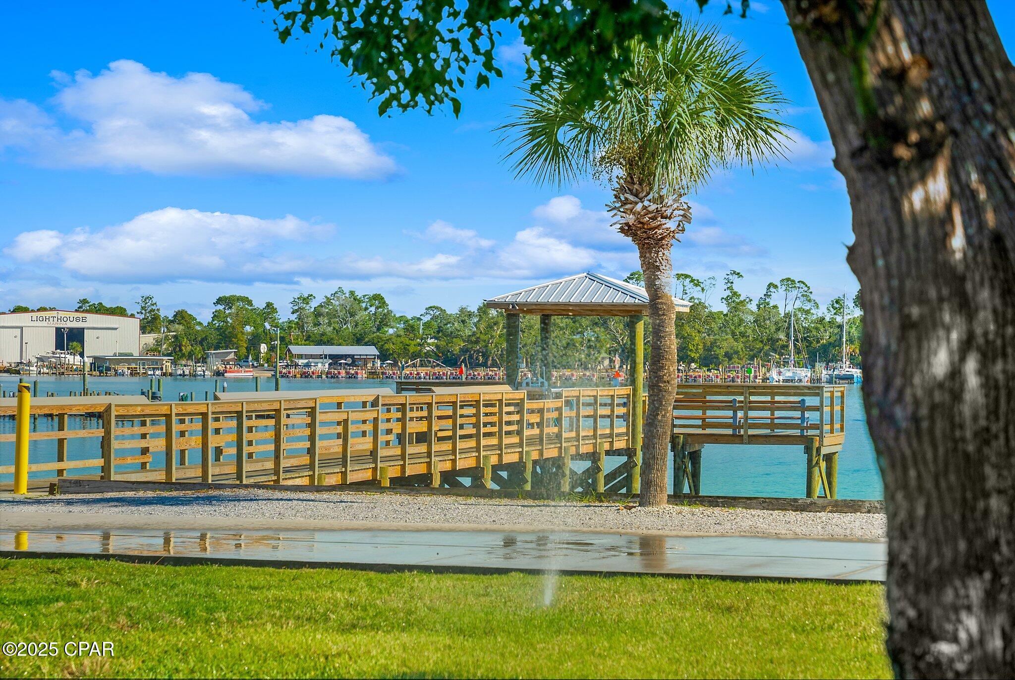 Image 42 For 228 Squid Lane