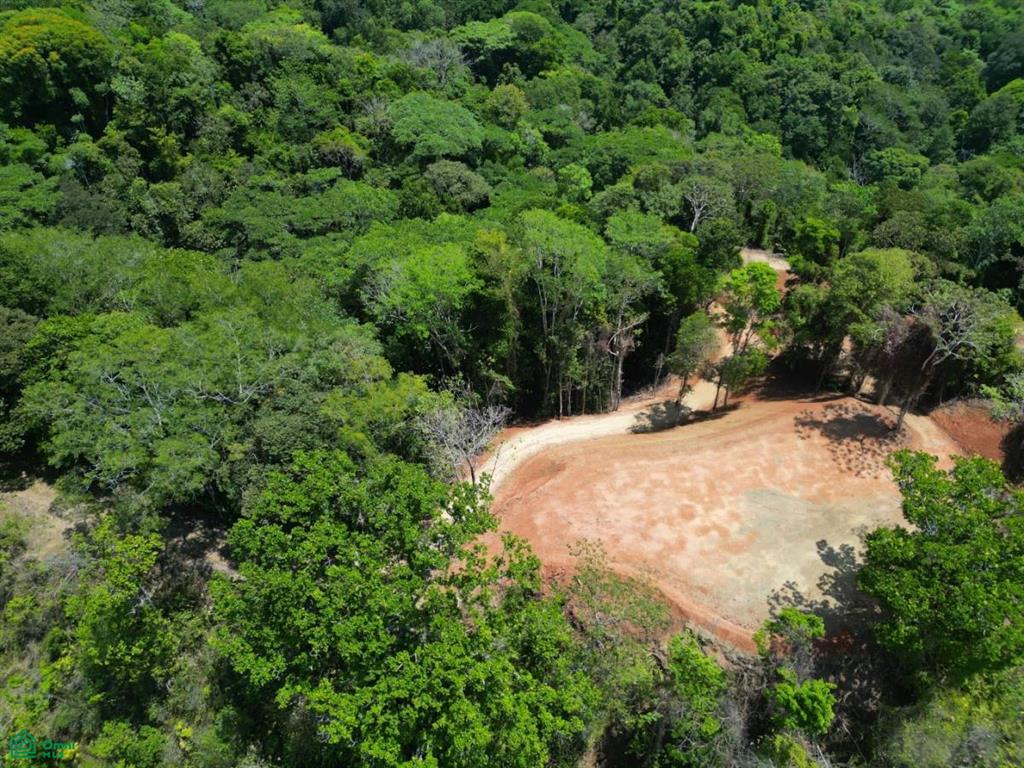 0 bed Land For Sale in Osa, Puntarenas - 1