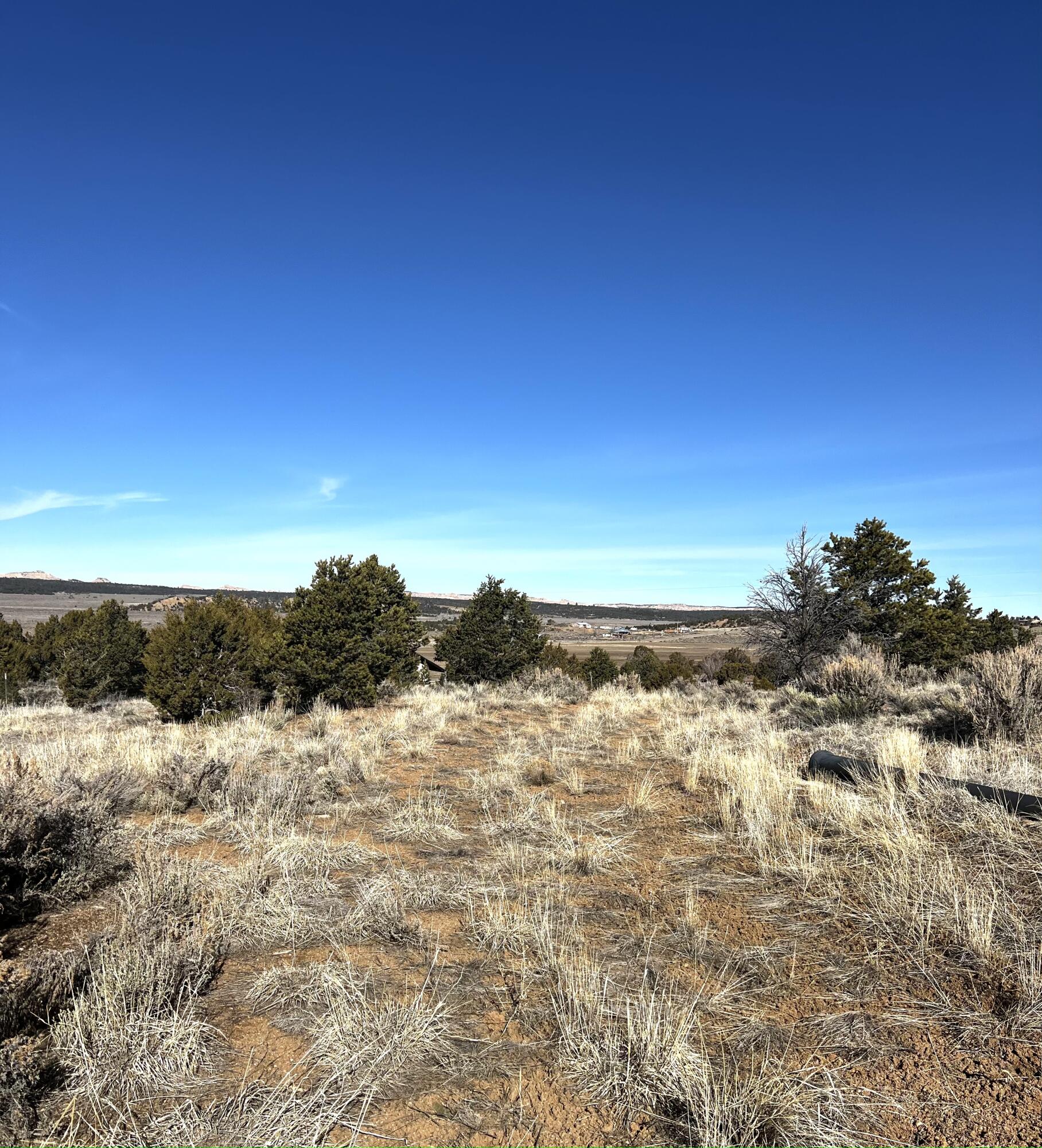 Homes for sale in La Jara, NM | 16 Camino Maestas, La Jara, NM 87027 | MLS# 1090307