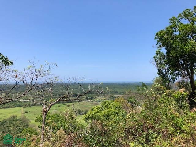 0 bed Land For Sale in Osa, Puntarenas - 1