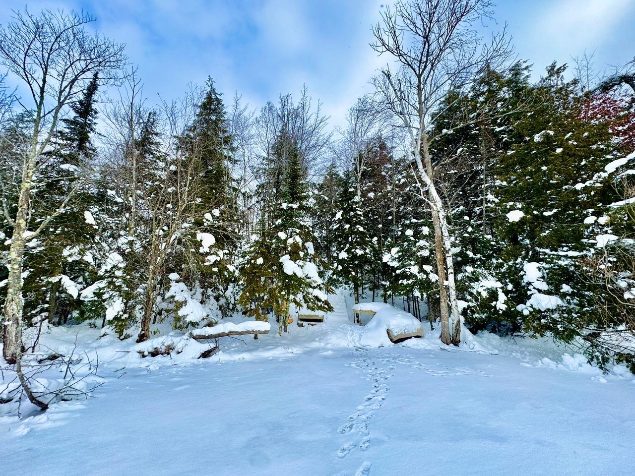 Armour Lake Property 11327 Bartsch Rd Photo 4