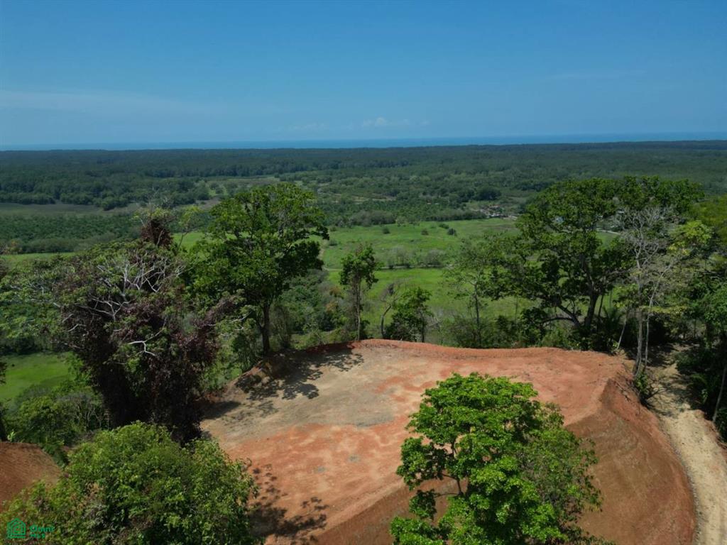 0 bed Land For Sale in Osa, Puntarenas - 1
