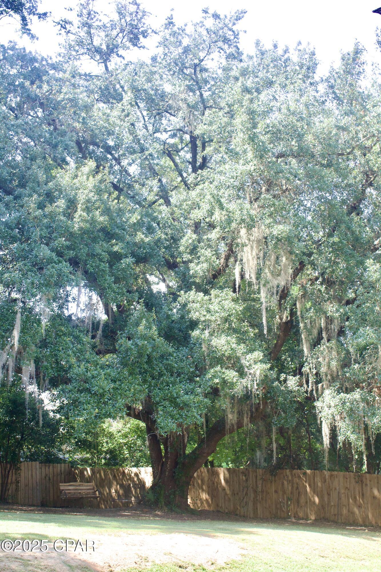 Image 30 For 2945 Park Street