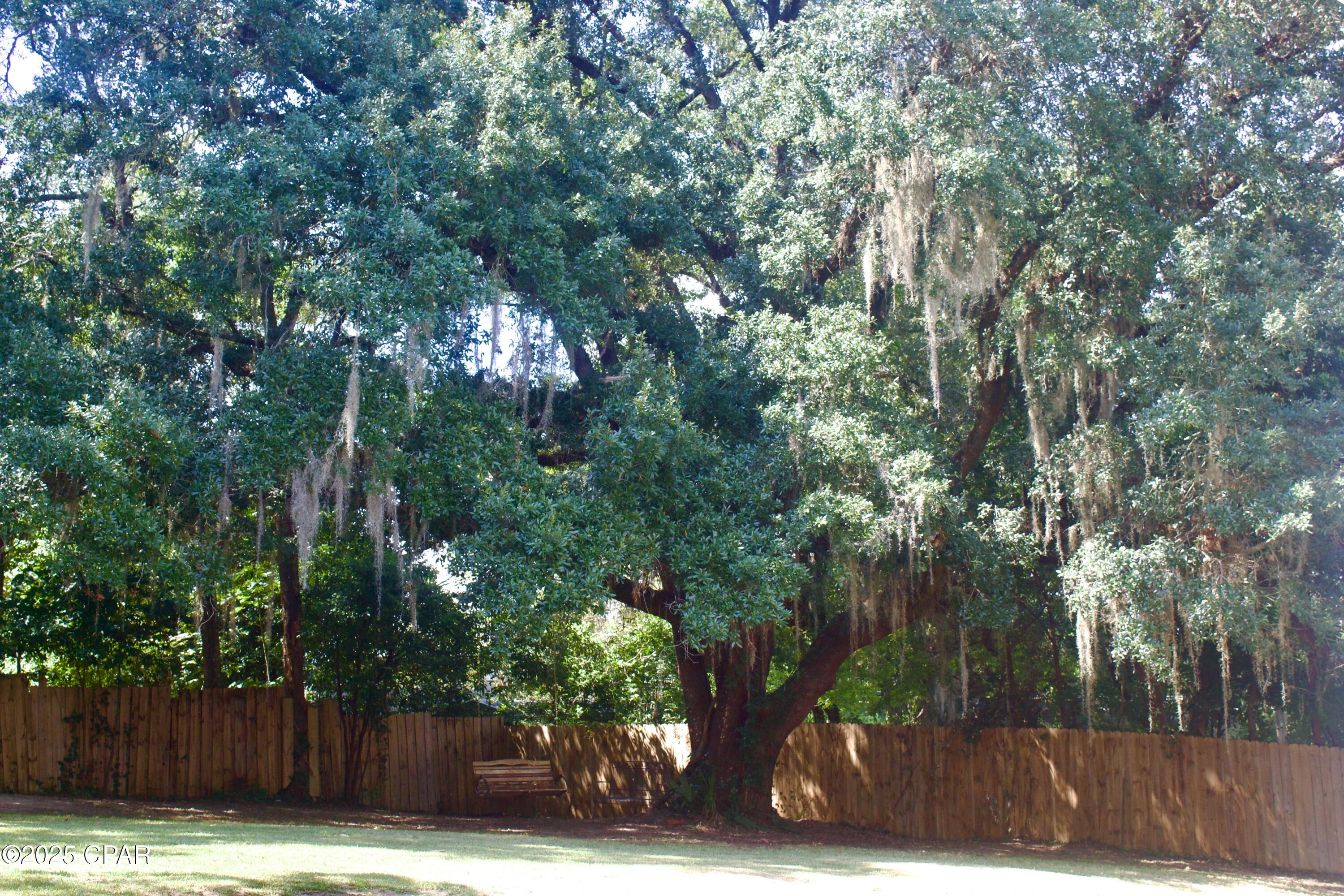 Image 36 For 2945 Park Street