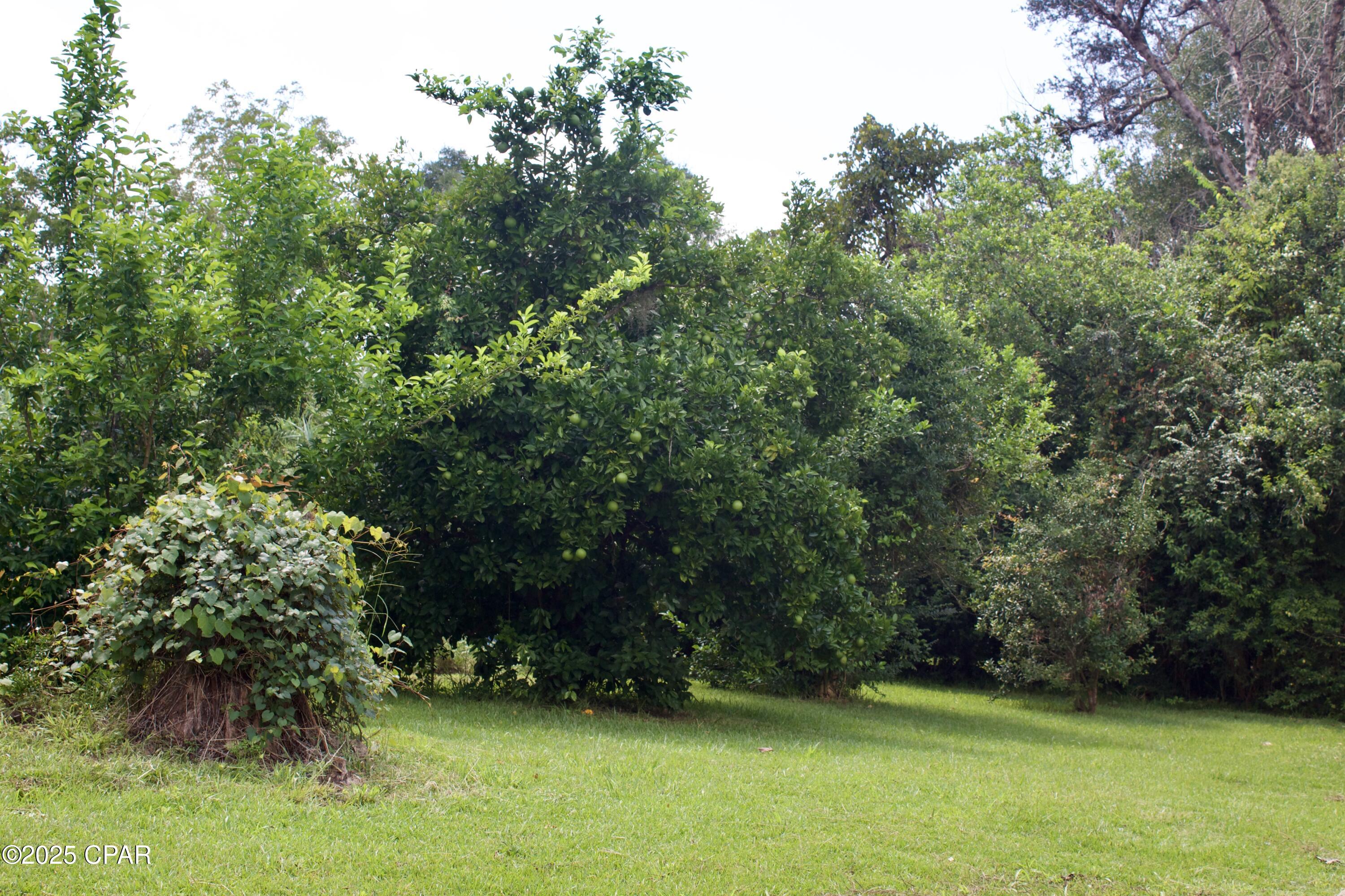 Image 47 For 2945 Park Street