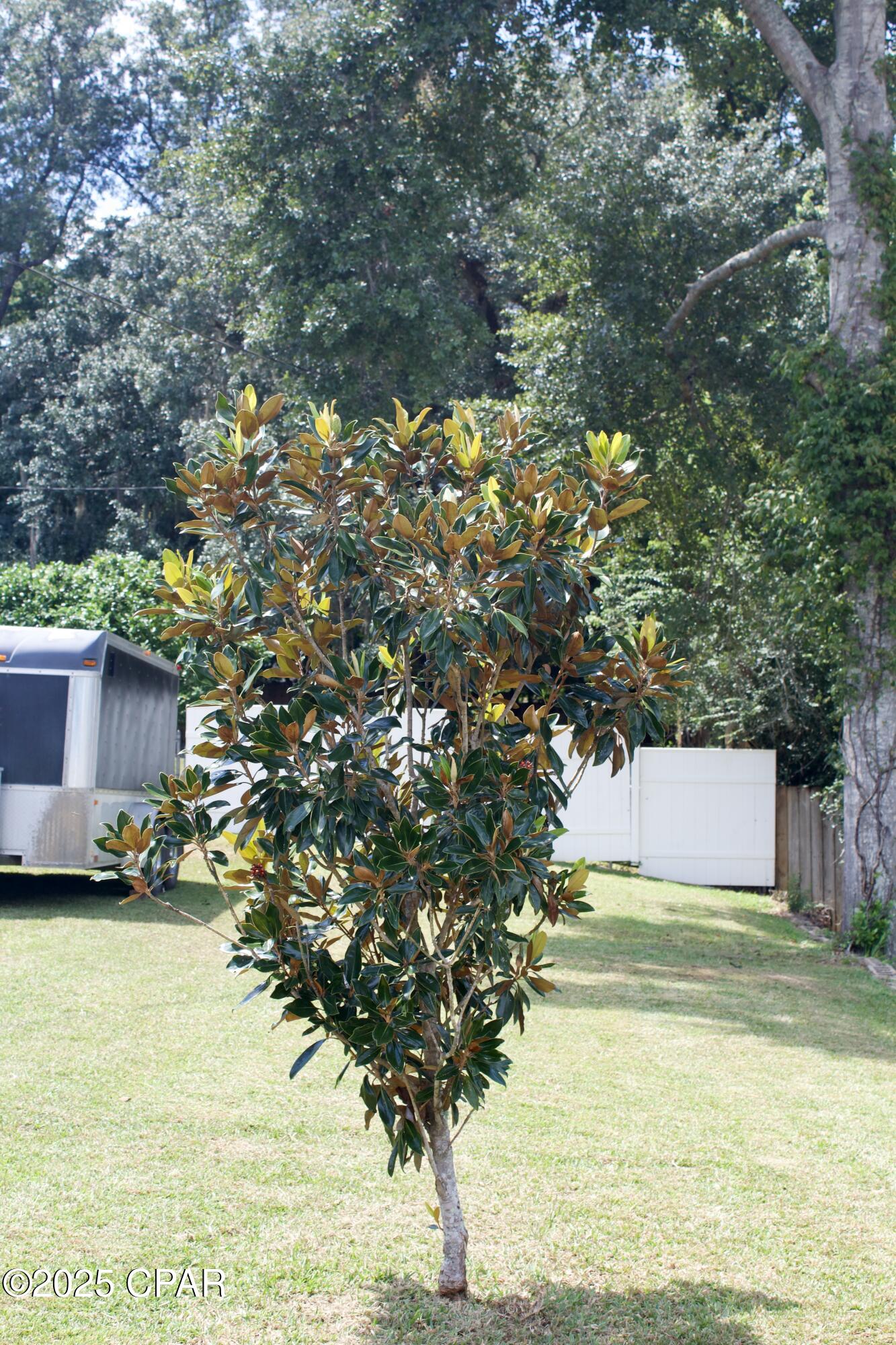 Image 48 For 2945 Park Street