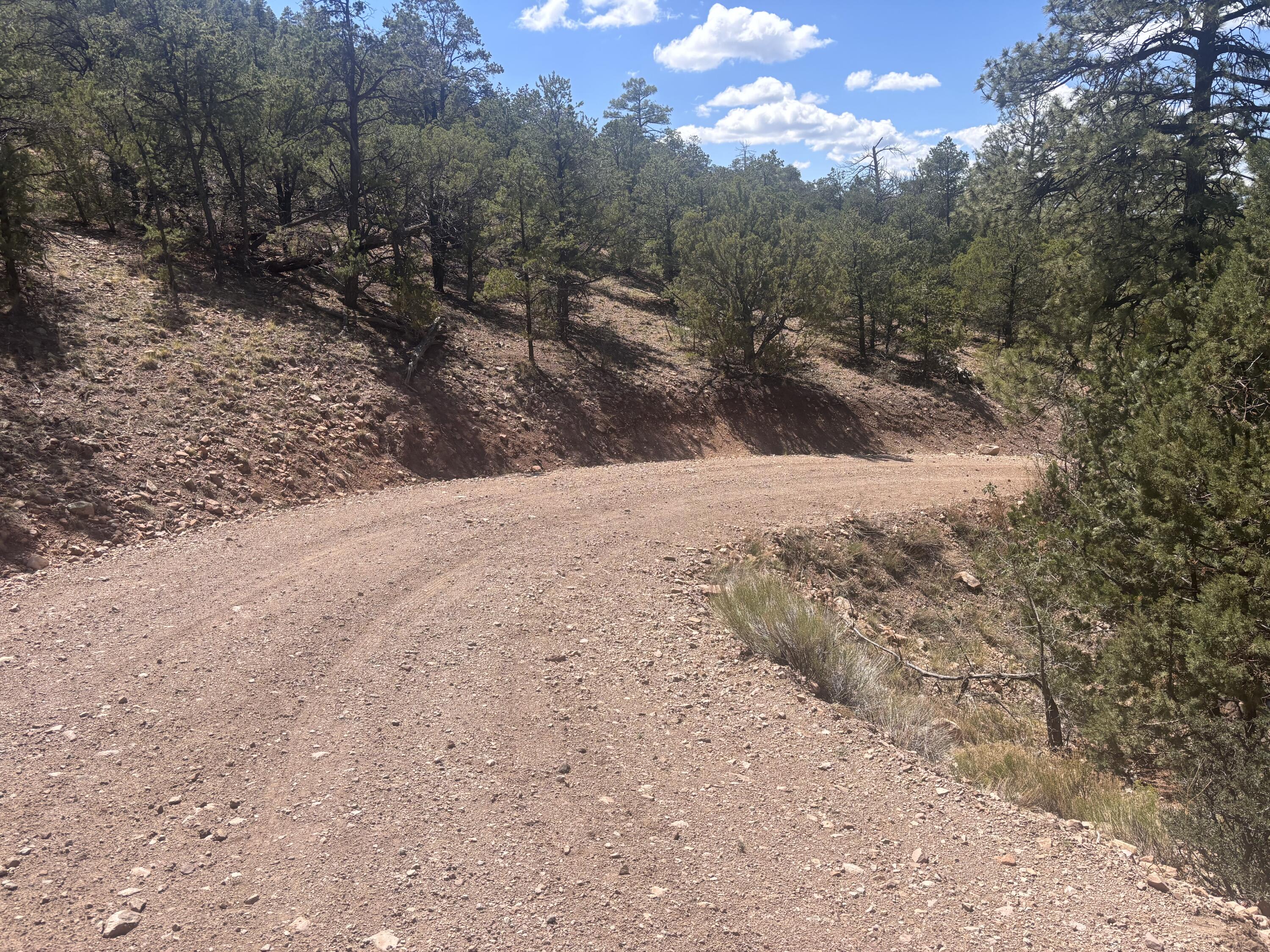 Homes for sale in Datil, NM | Lot 23 Tee Pee Ranch, Datil, NM 87821 | MLS# 1090346