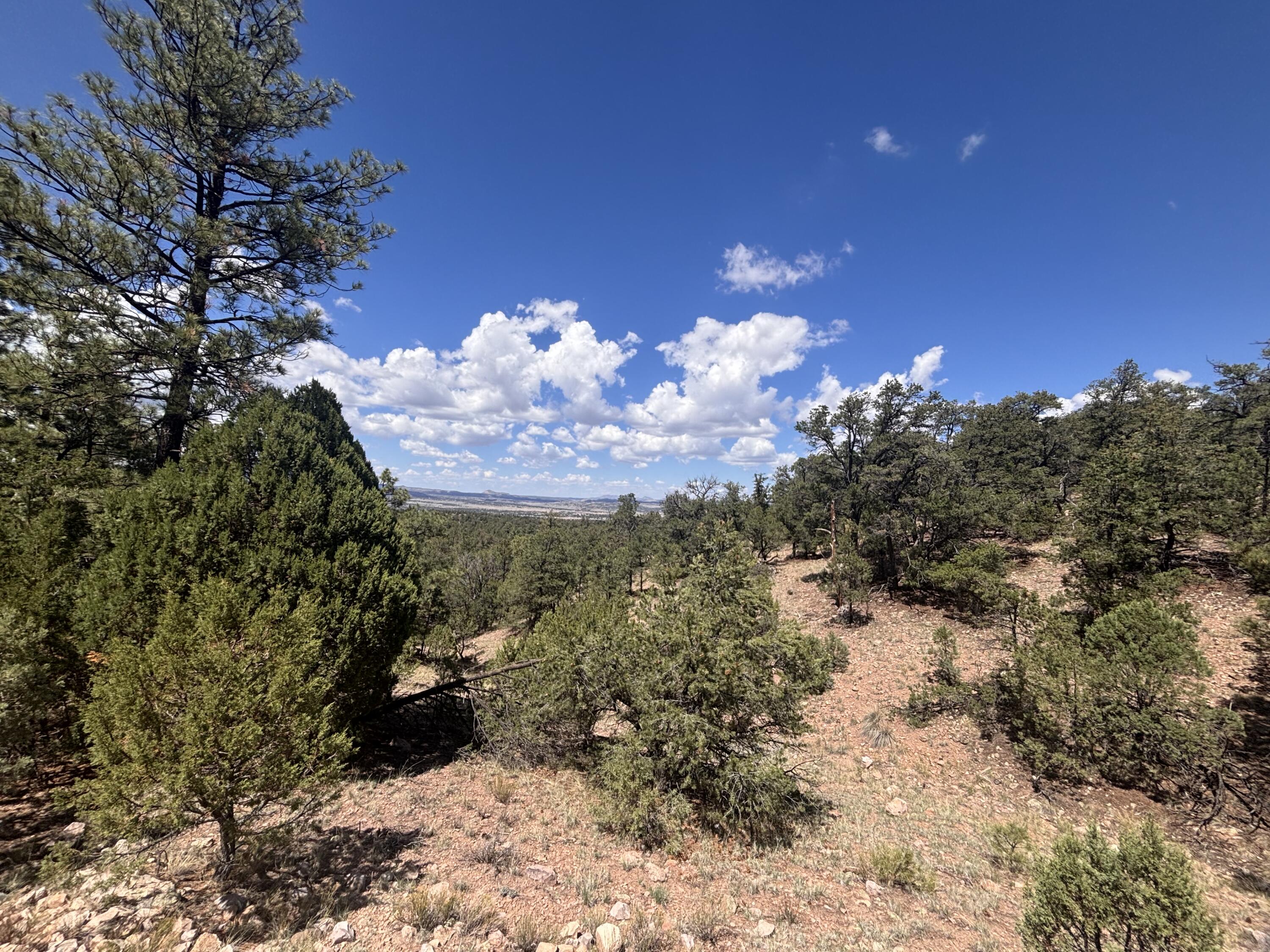 Homes for sale in Datil, NM | Lot 23 Tee Pee Ranch, Datil, NM 87821 | MLS# 1090346