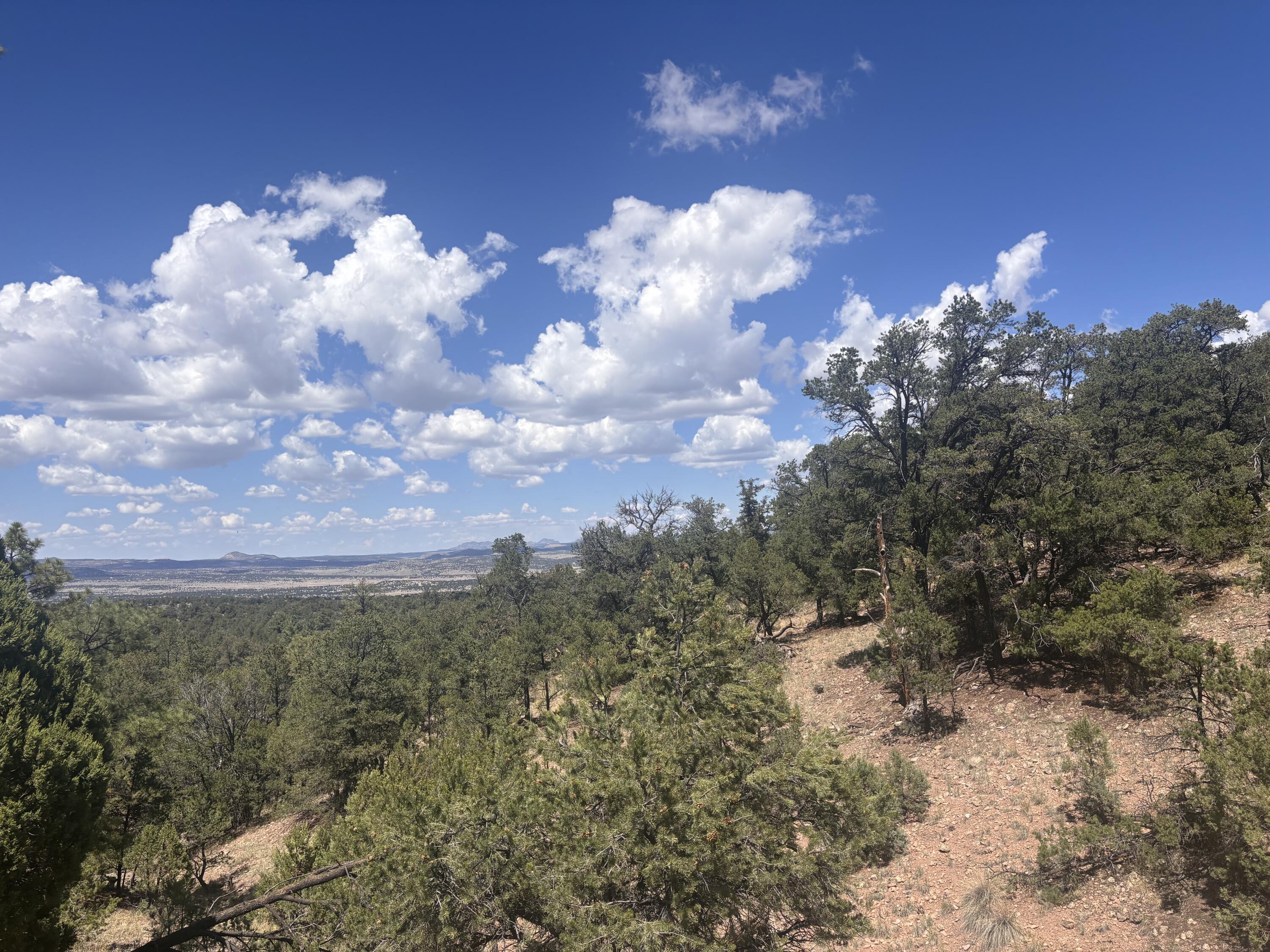 Homes for sale in Datil, NM | Lot 23 Tee Pee Ranch, Datil, NM 87821 | MLS# 1090346