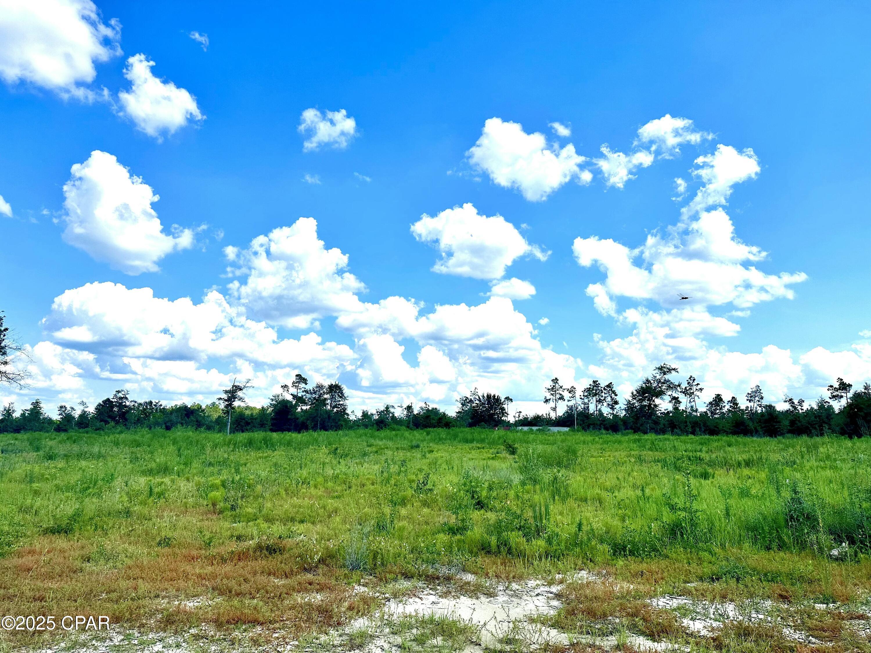 Image 3 For 12810 Hwy 231