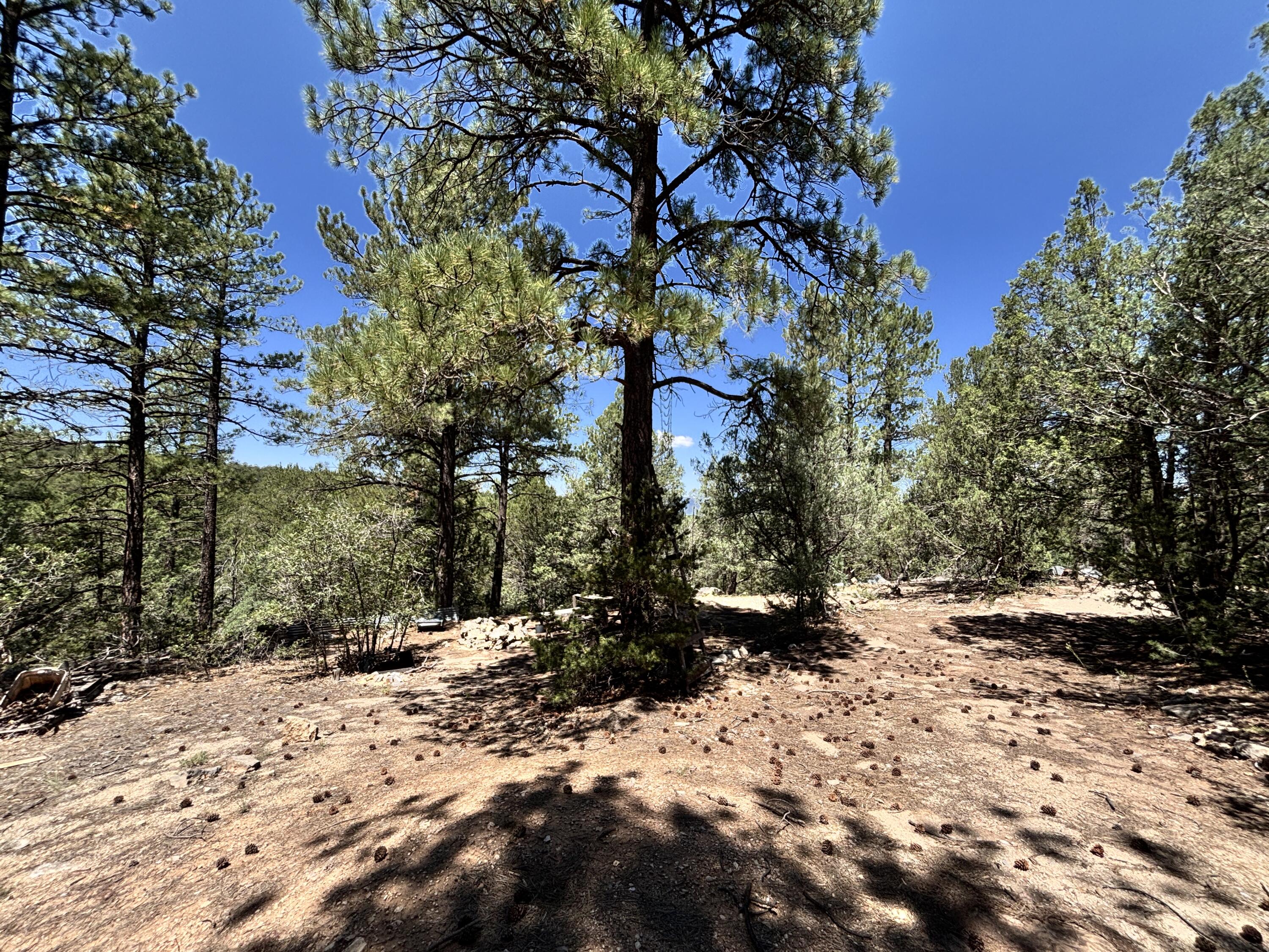 Homes for sale in Tijeras, NM | 27 Green Shadows Ln, Tijeras, NM 87059 | MLS# 1090364