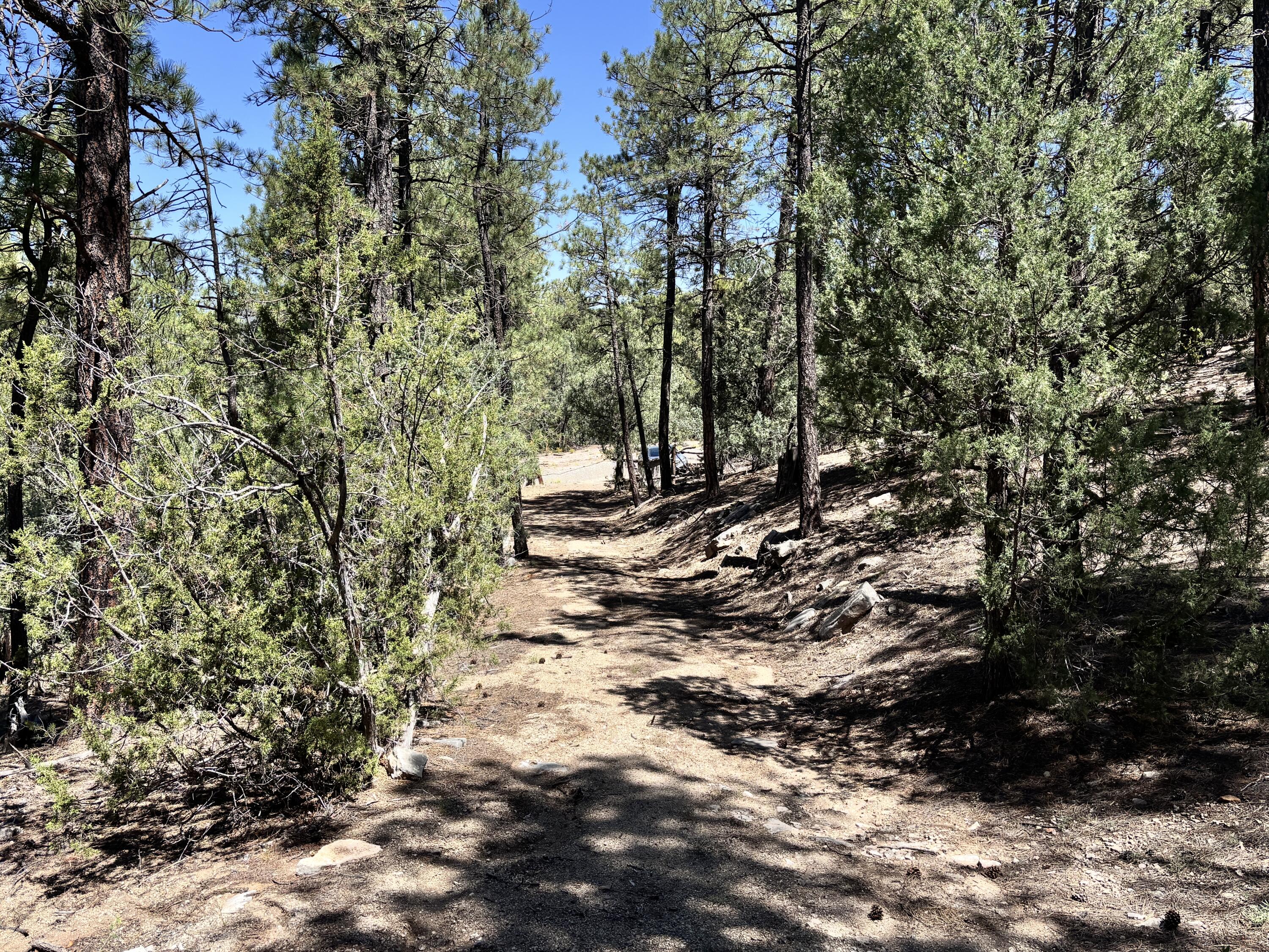 Homes for sale in Tijeras, NM | 27 Green Shadows Ln, Tijeras, NM 87059 | MLS# 1090364