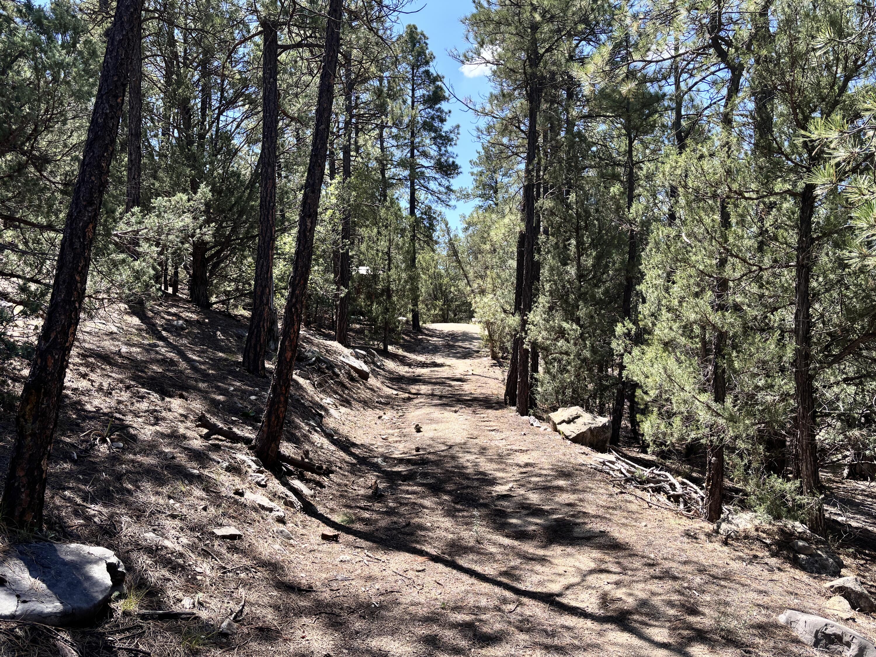 Homes for sale in Tijeras, NM | 27 Green Shadows Ln, Tijeras, NM 87059 | MLS# 1090364