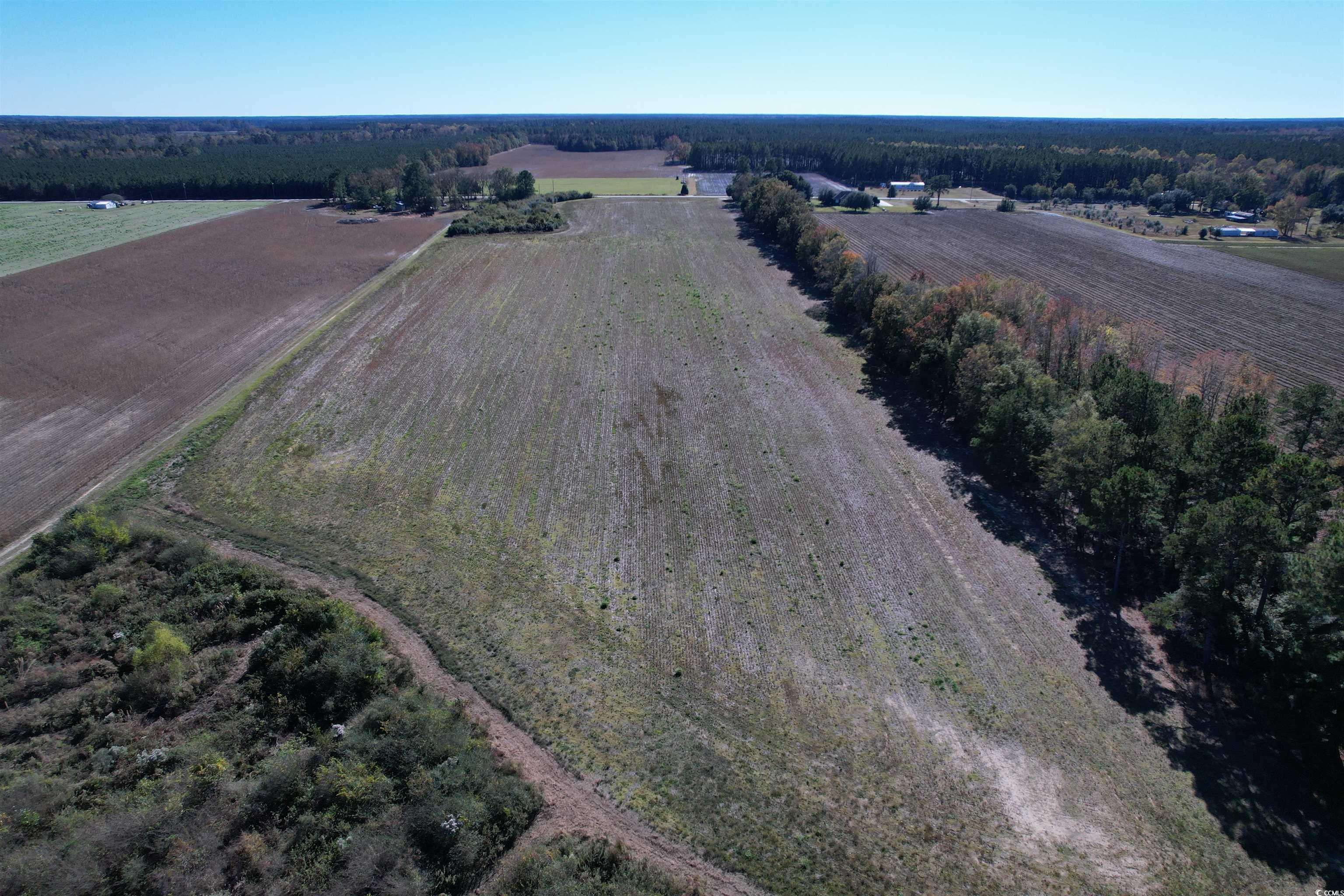 64 Acres-T Vox Hwy. Lake City, SC 29560