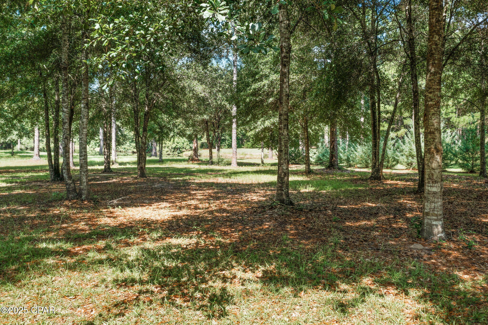 Image 70 For 1268 Piney Grove Road