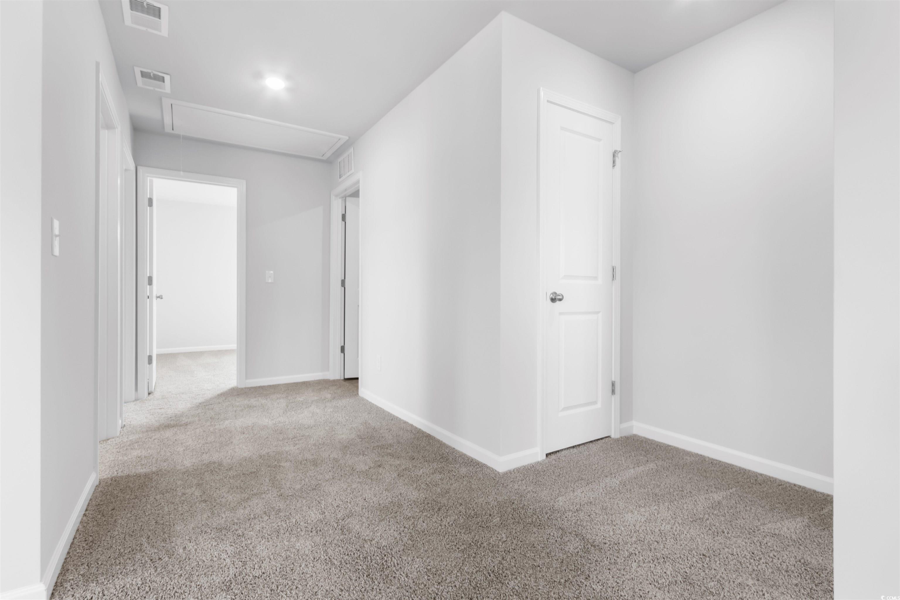 2520893 | Photo 11