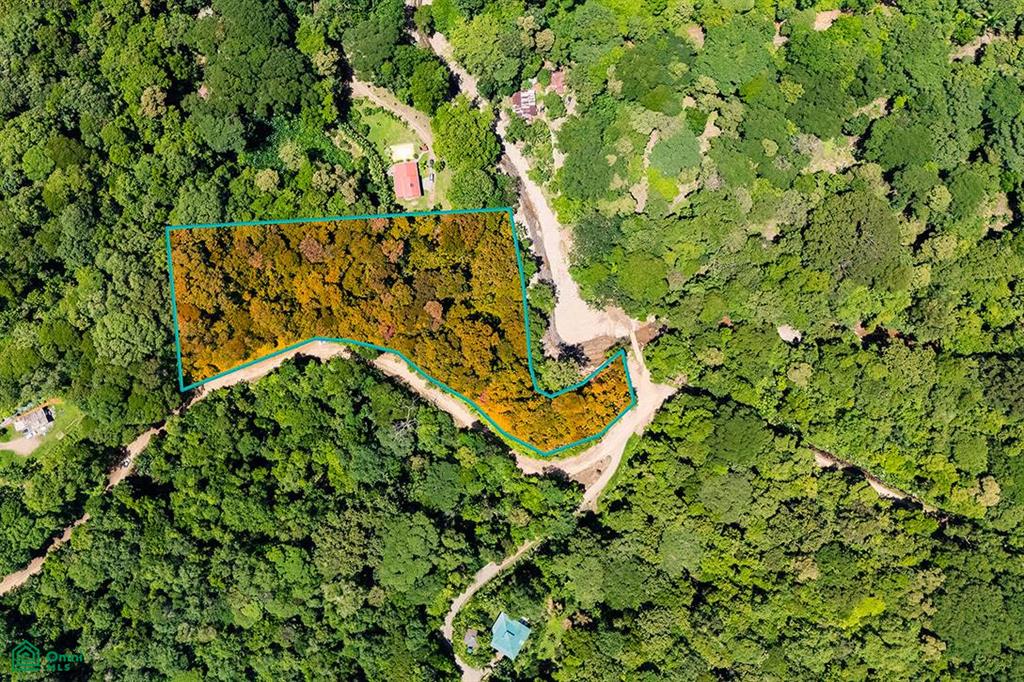 0 bed Land For Sale in Osa, Puntarenas - 1